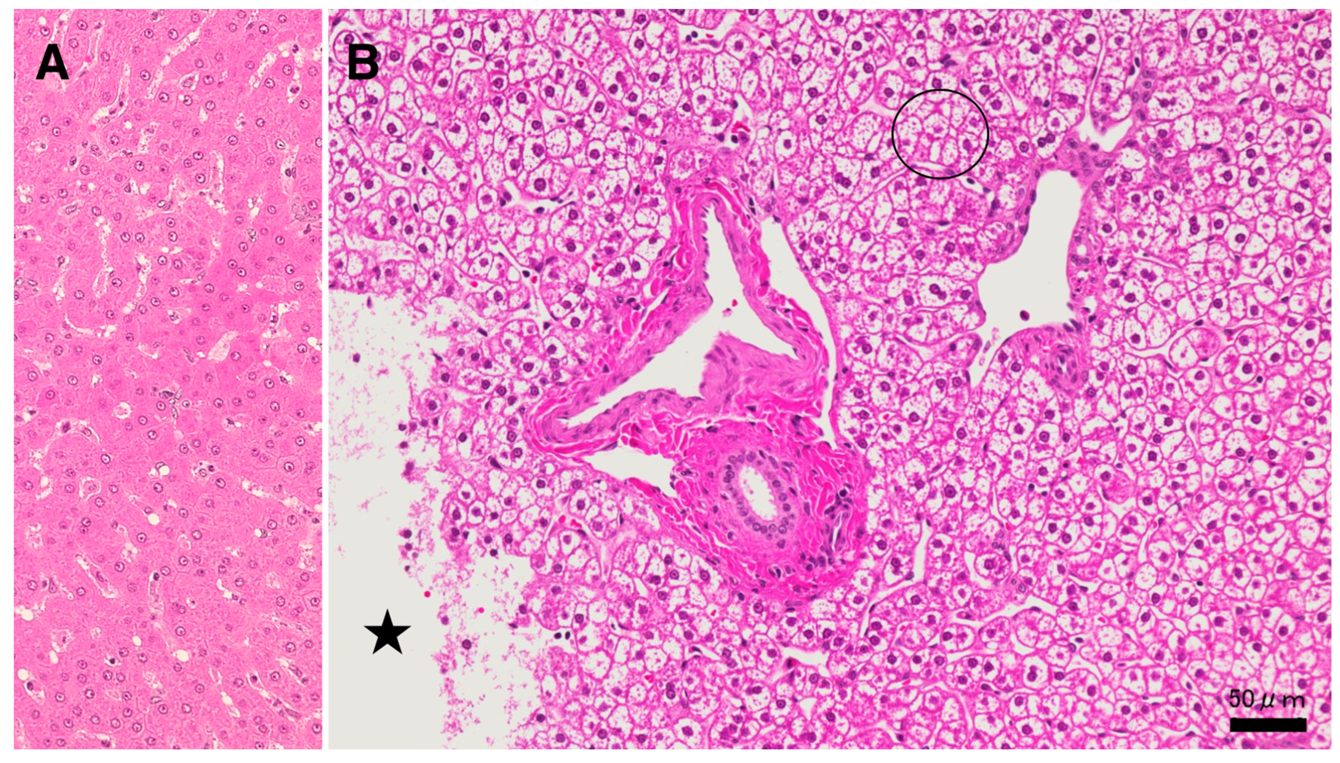 Nutrients 15 01904 g002