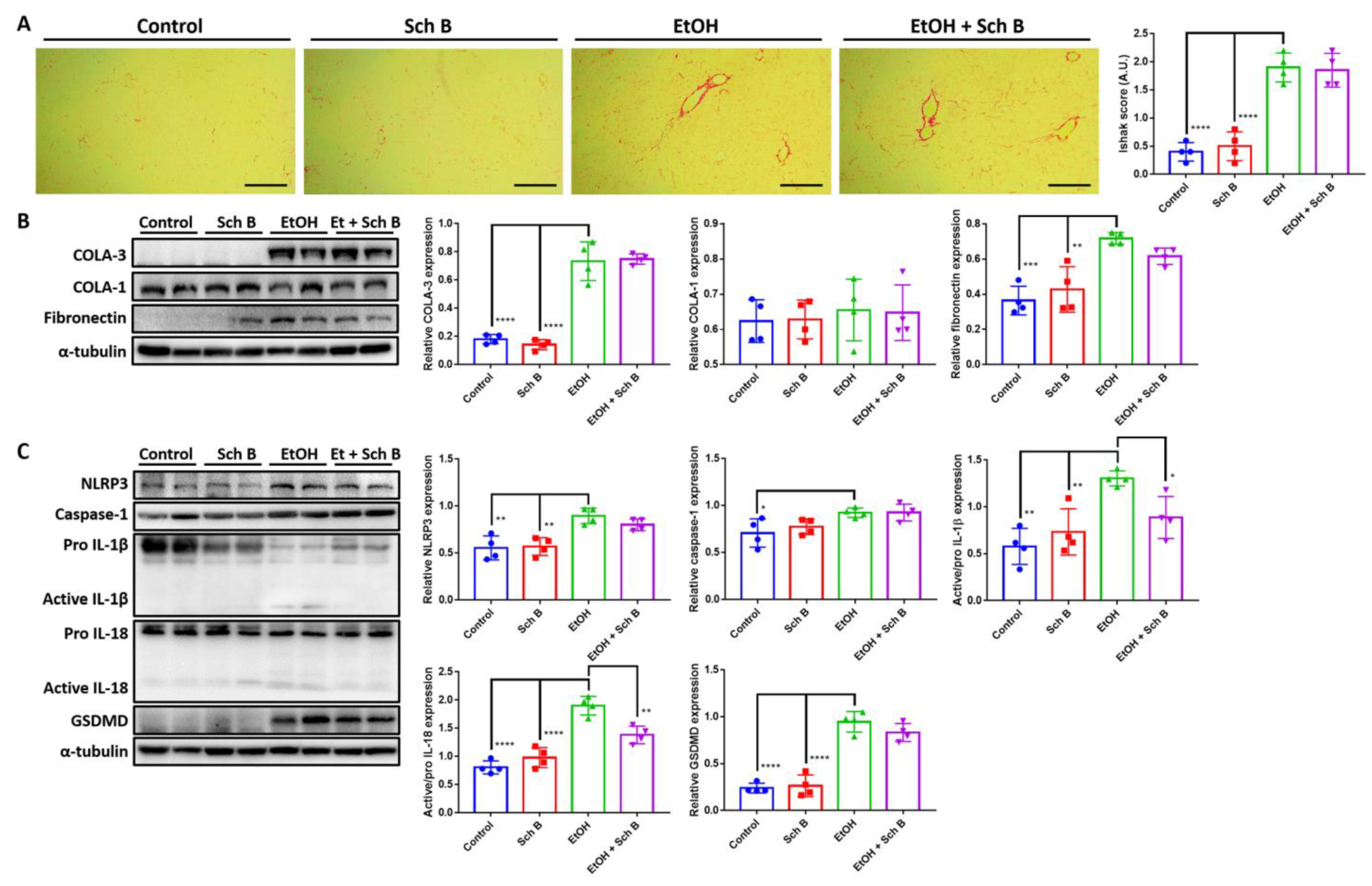 Nutrients 15 01909 g003