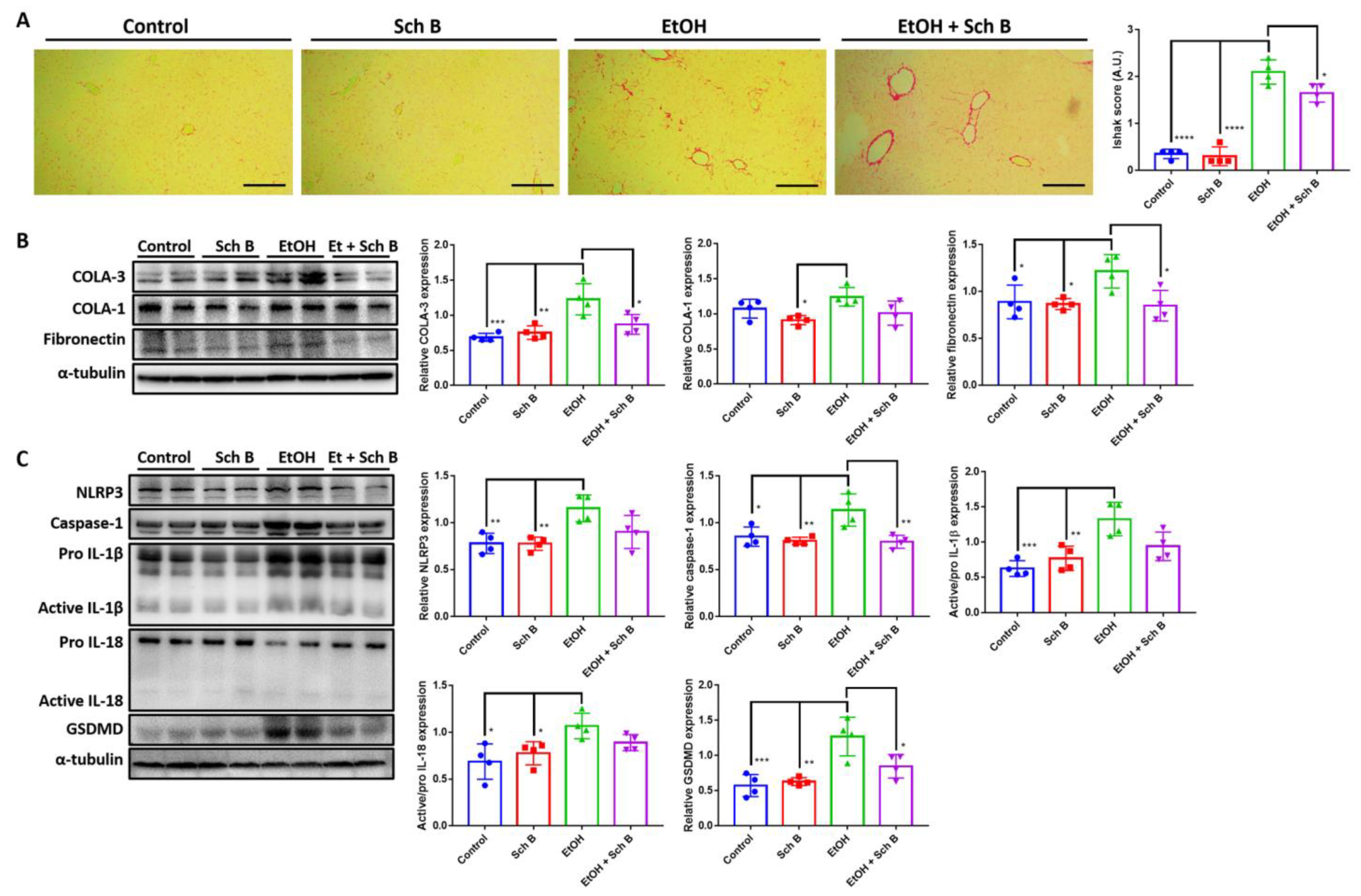 Nutrients 15 01909 g007