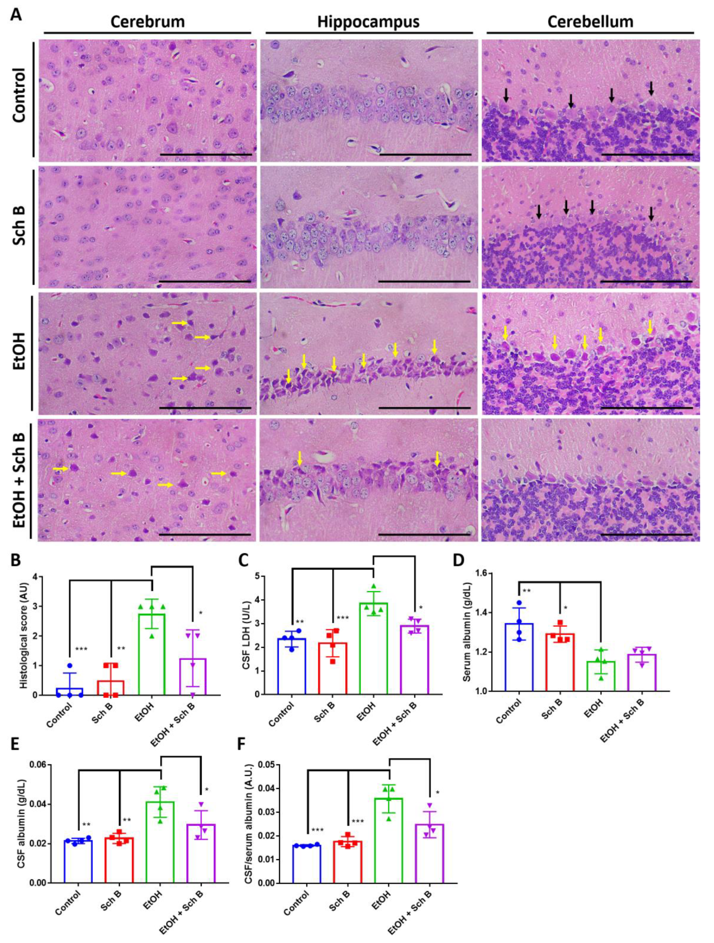 Nutrients 15 01909 g009