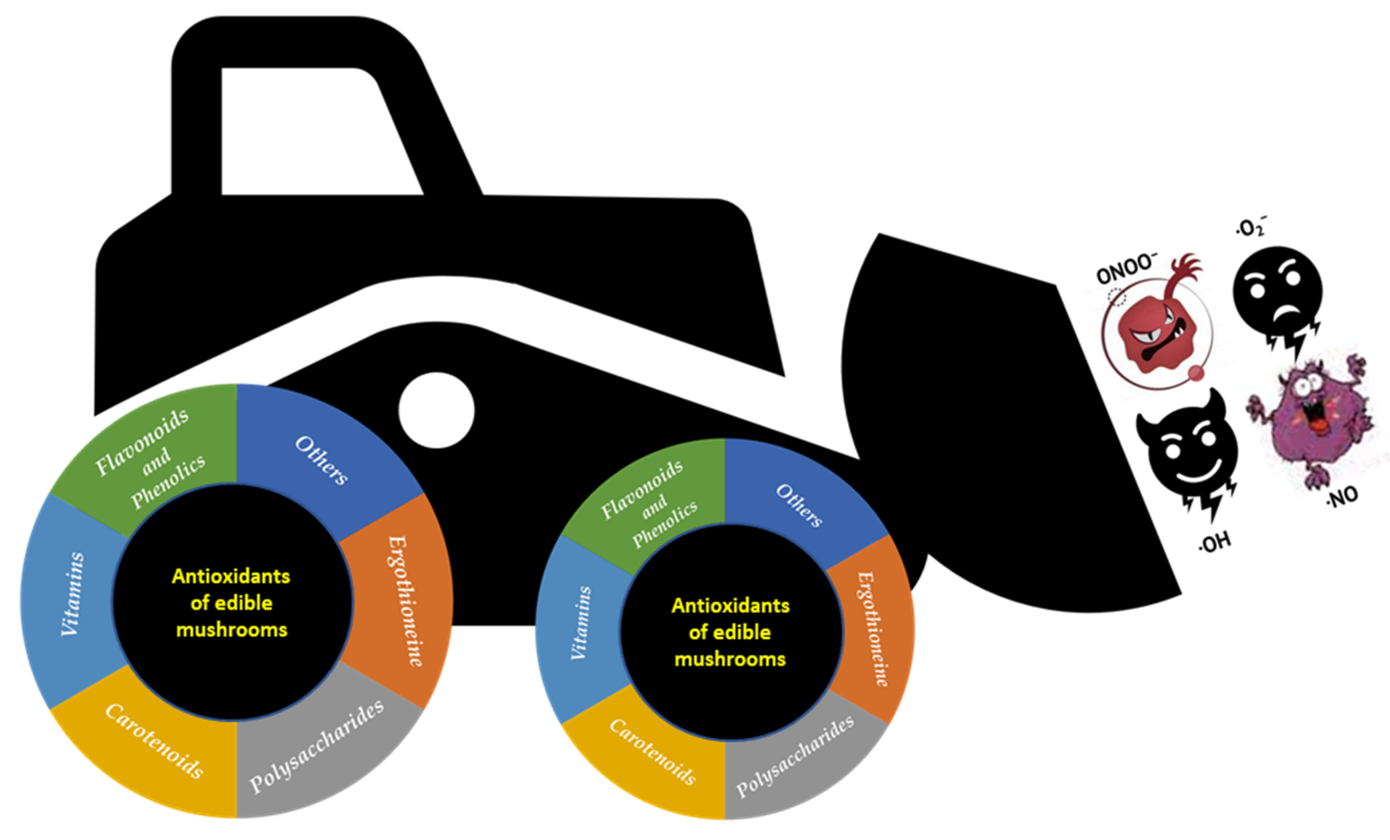 Nutrients 15 01913 g002