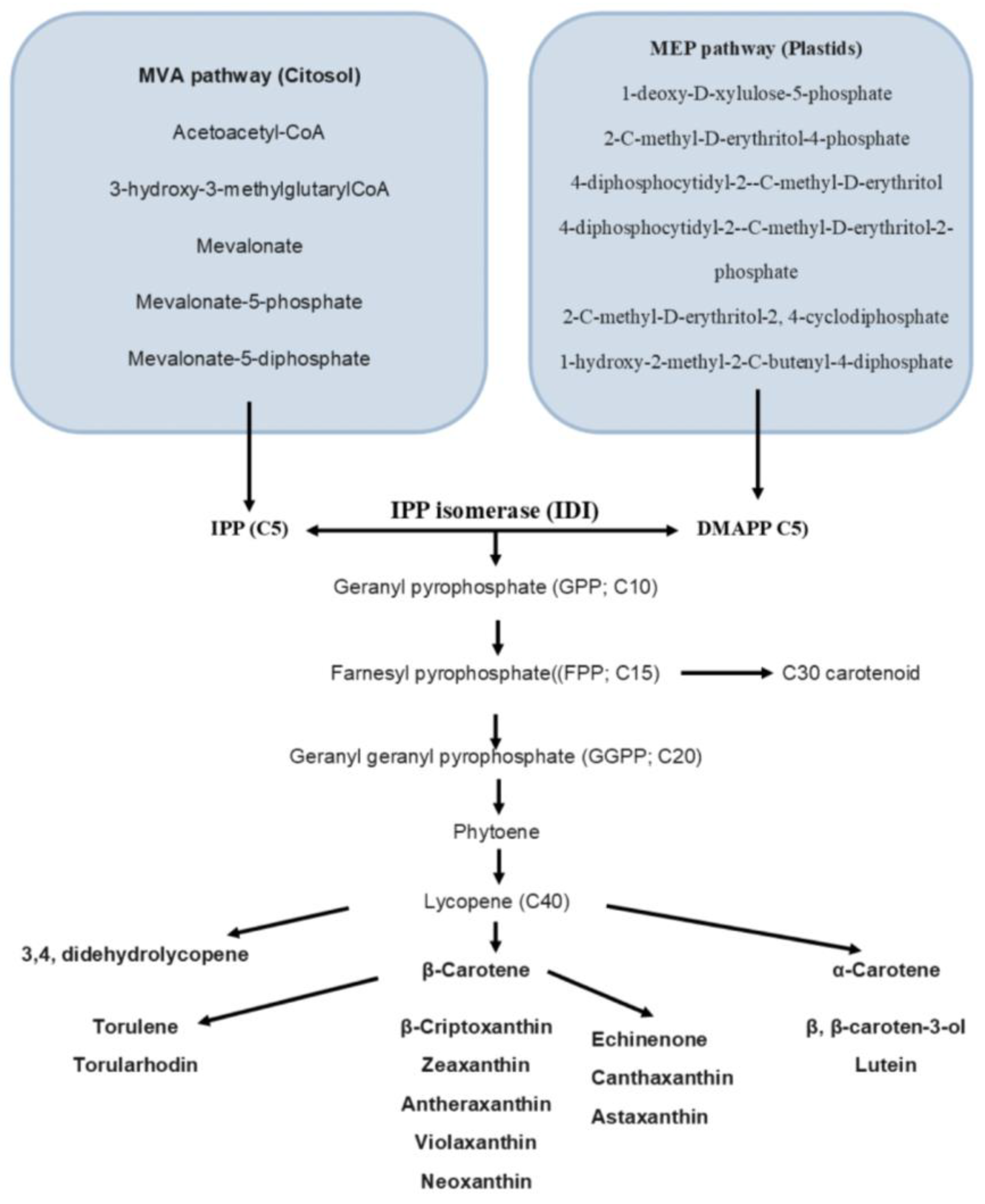 Nutrients 15 01923 g002 Nutrients 15 01923 g002
