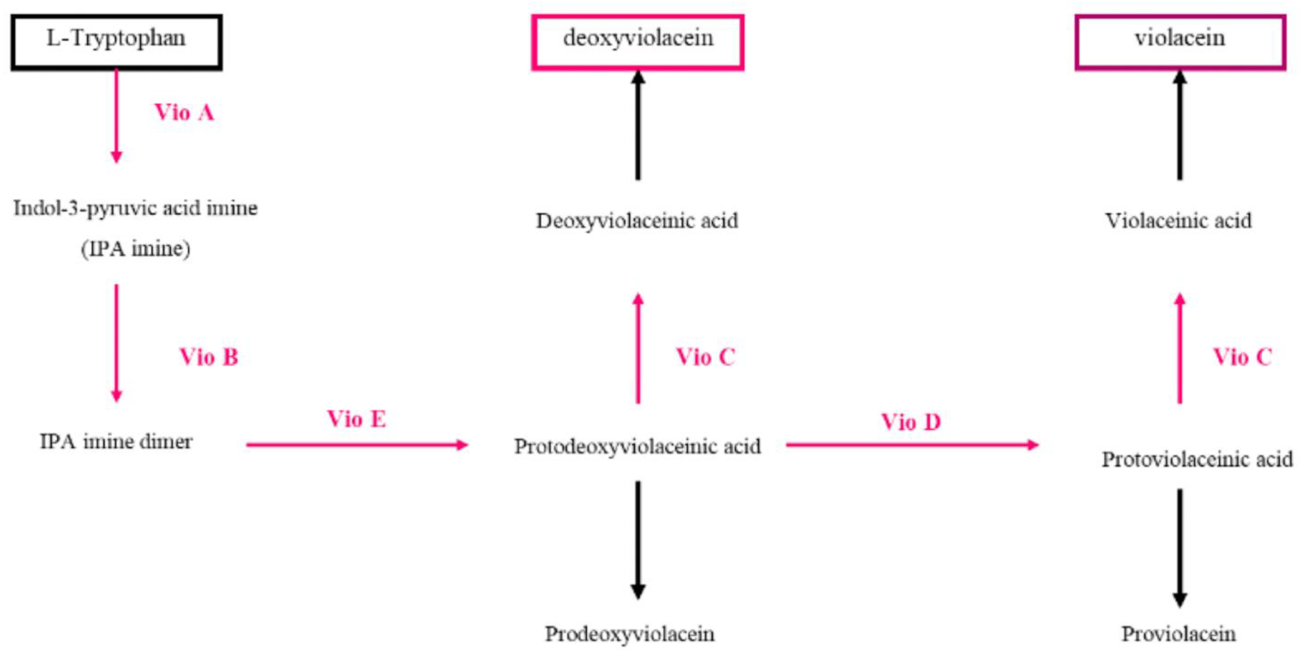 Nutrients 15 01923 g008 Nutrients 15 01923 g008