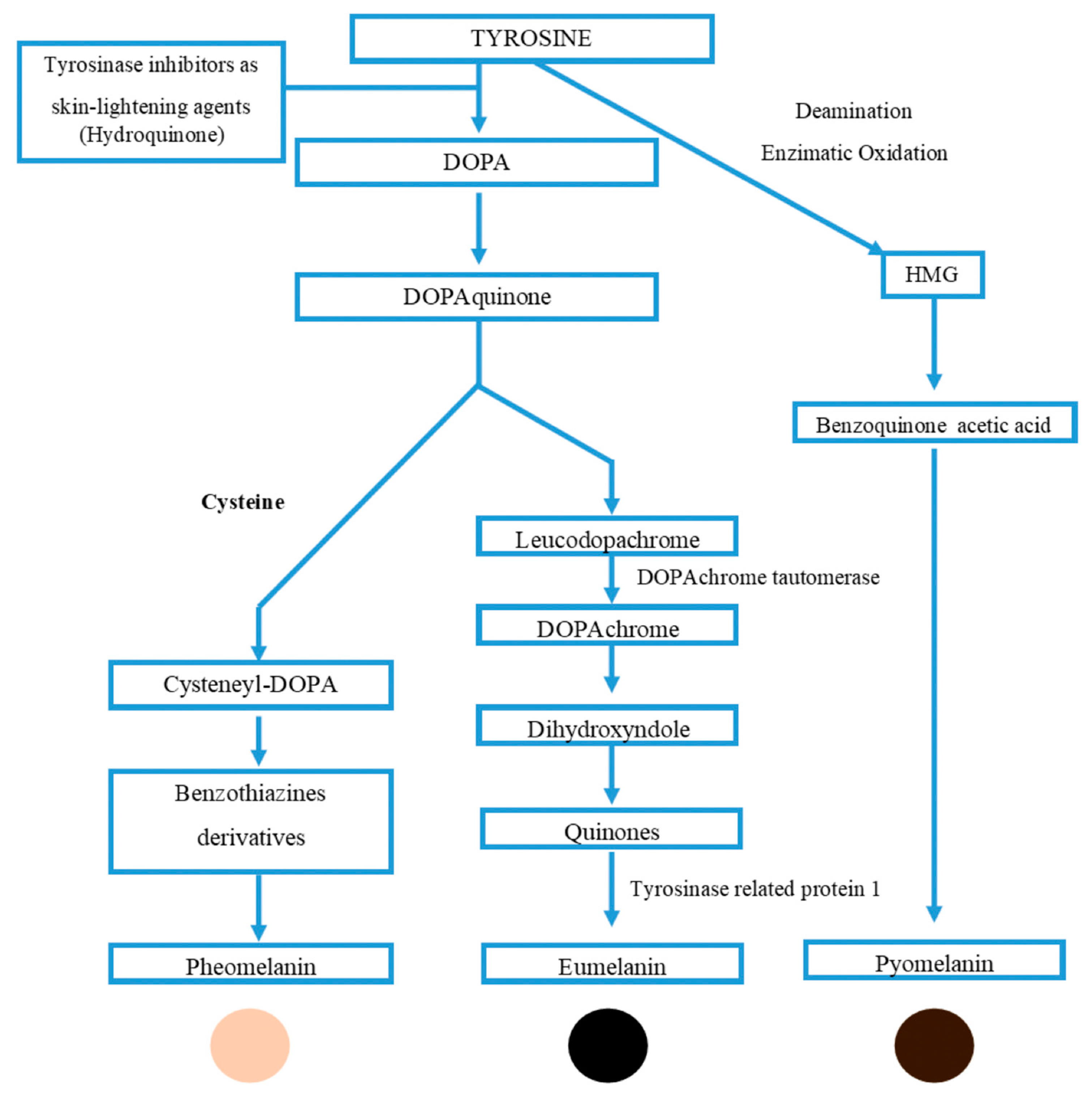 Nutrients 15 01923 g010 Nutrients 15 01923 g010