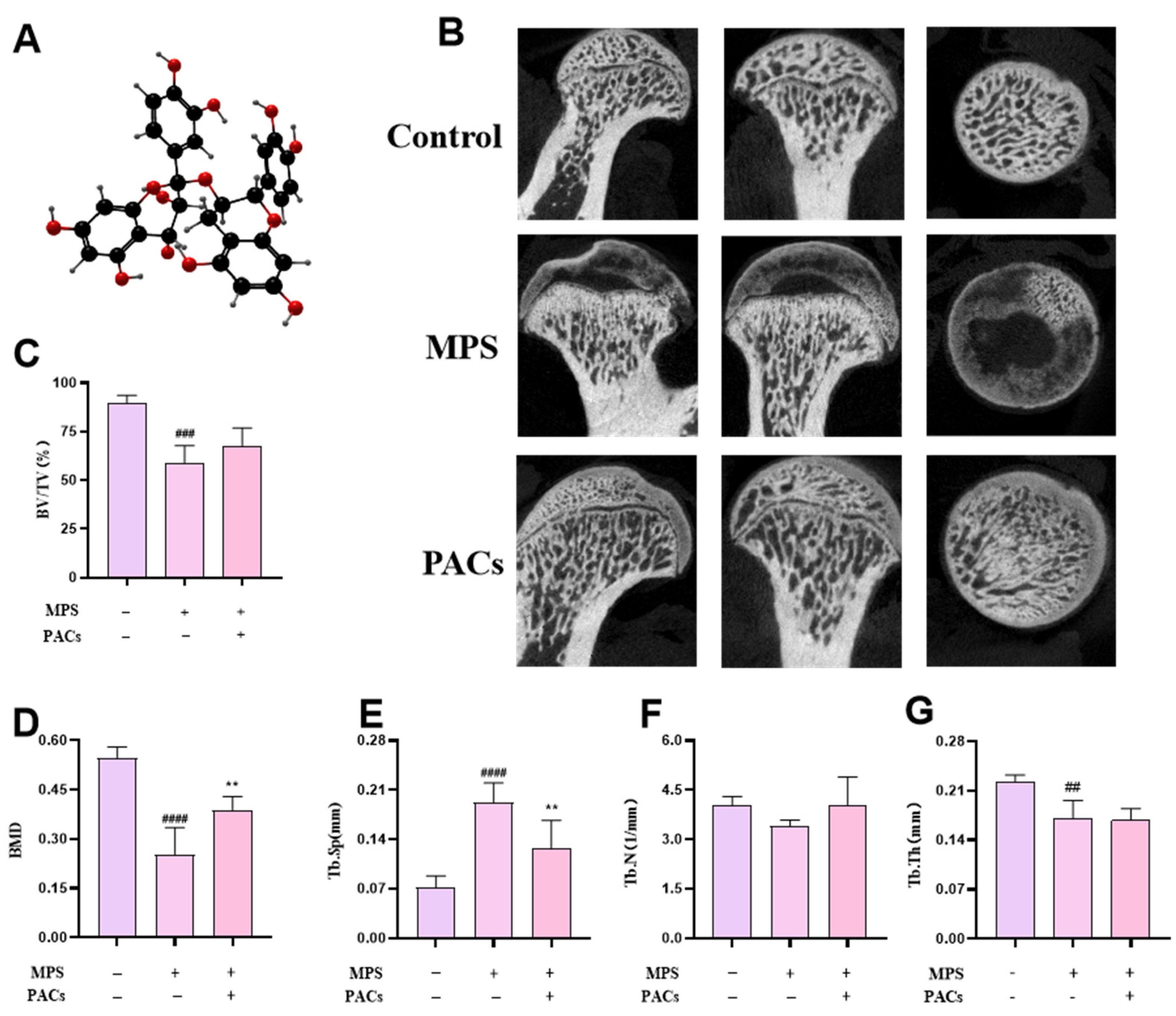 Nutrients 15 01936 g001 Nutrients 15 01936 g001