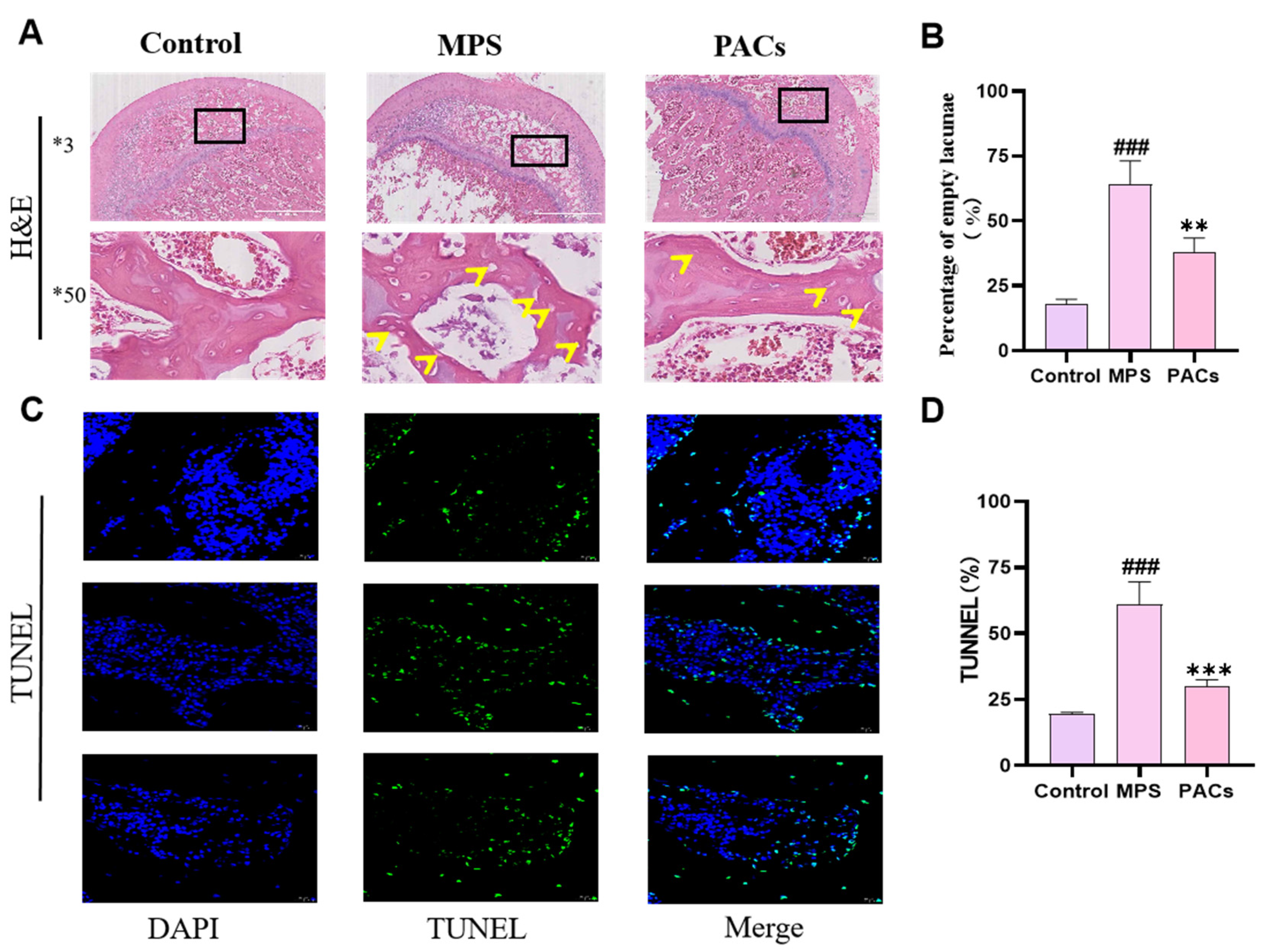 Nutrients 15 01936 g002 Nutrients 15 01936 g002
