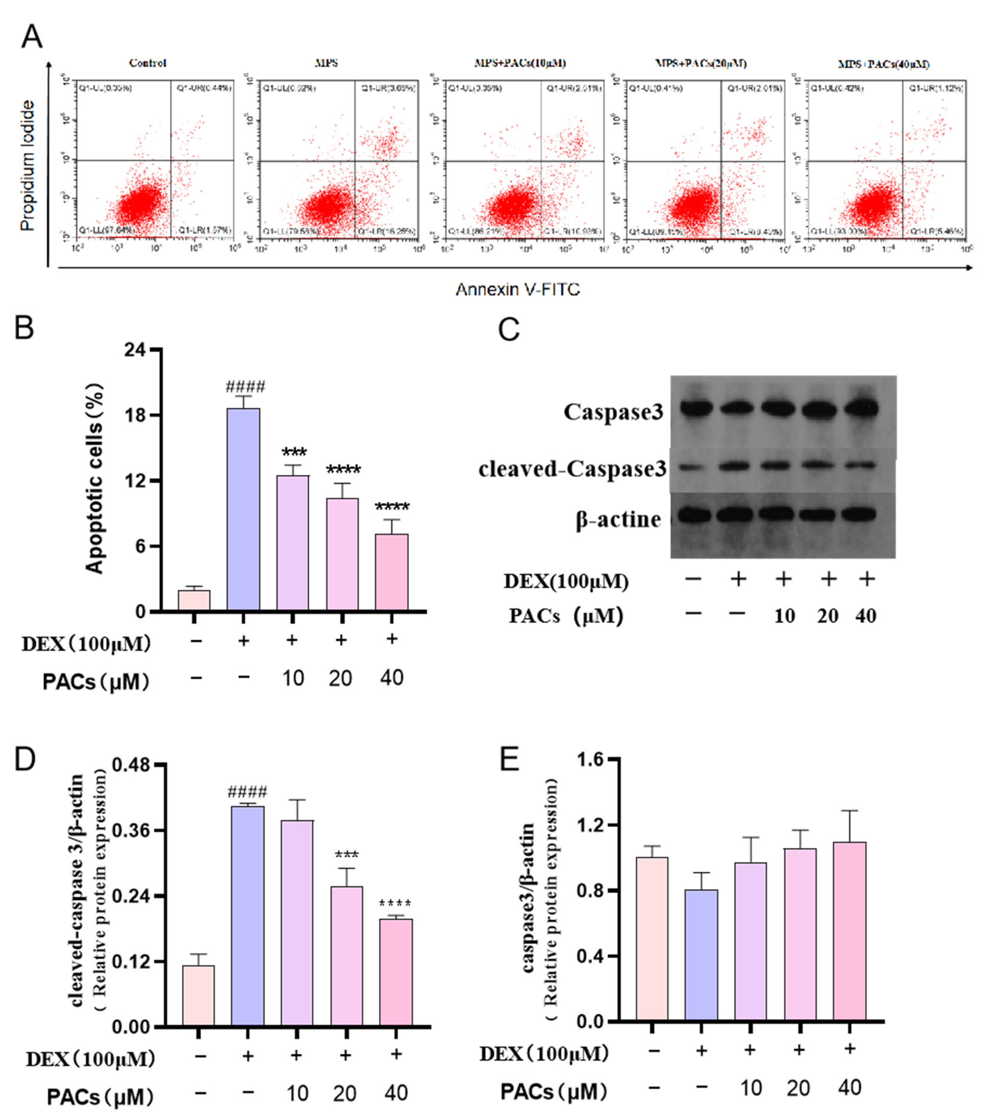 Nutrients 15 01936 g004 Nutrients 15 01936 g004