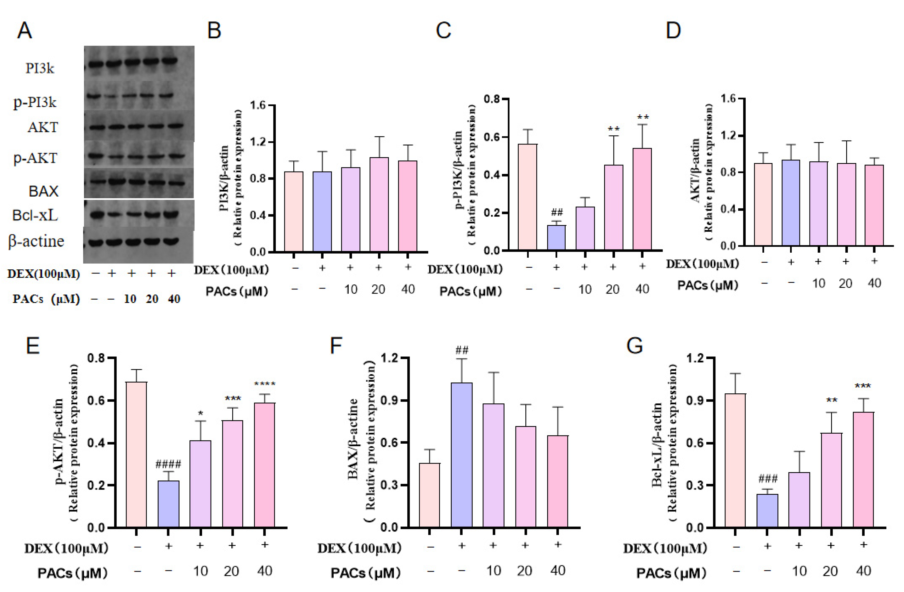 Nutrients 15 01936 g005 Nutrients 15 01936 g005