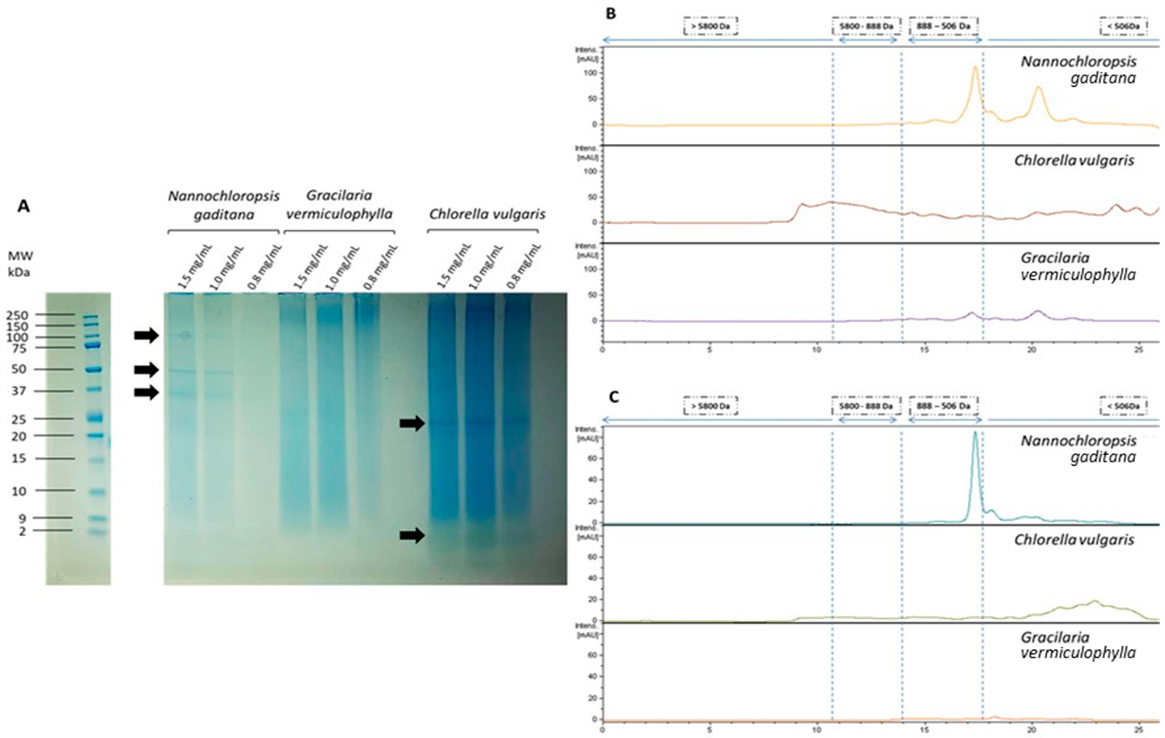 Nutrients 15 01960 g001