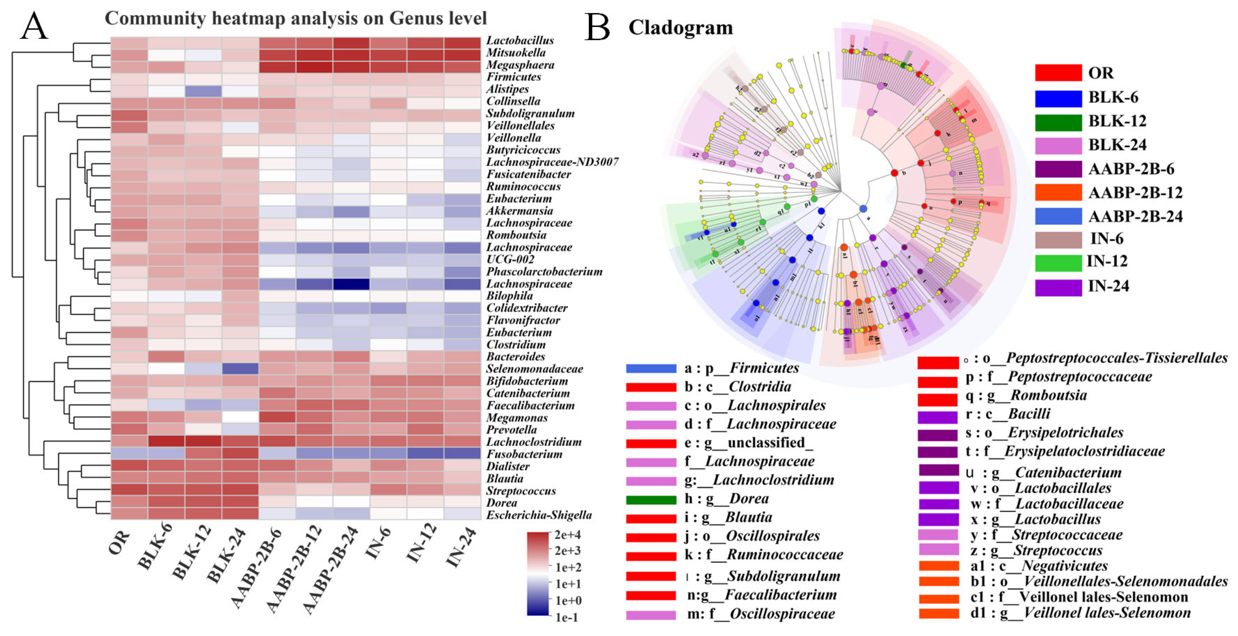 Nutrients 15 01965 g010 Nutrients 15 01965 g010