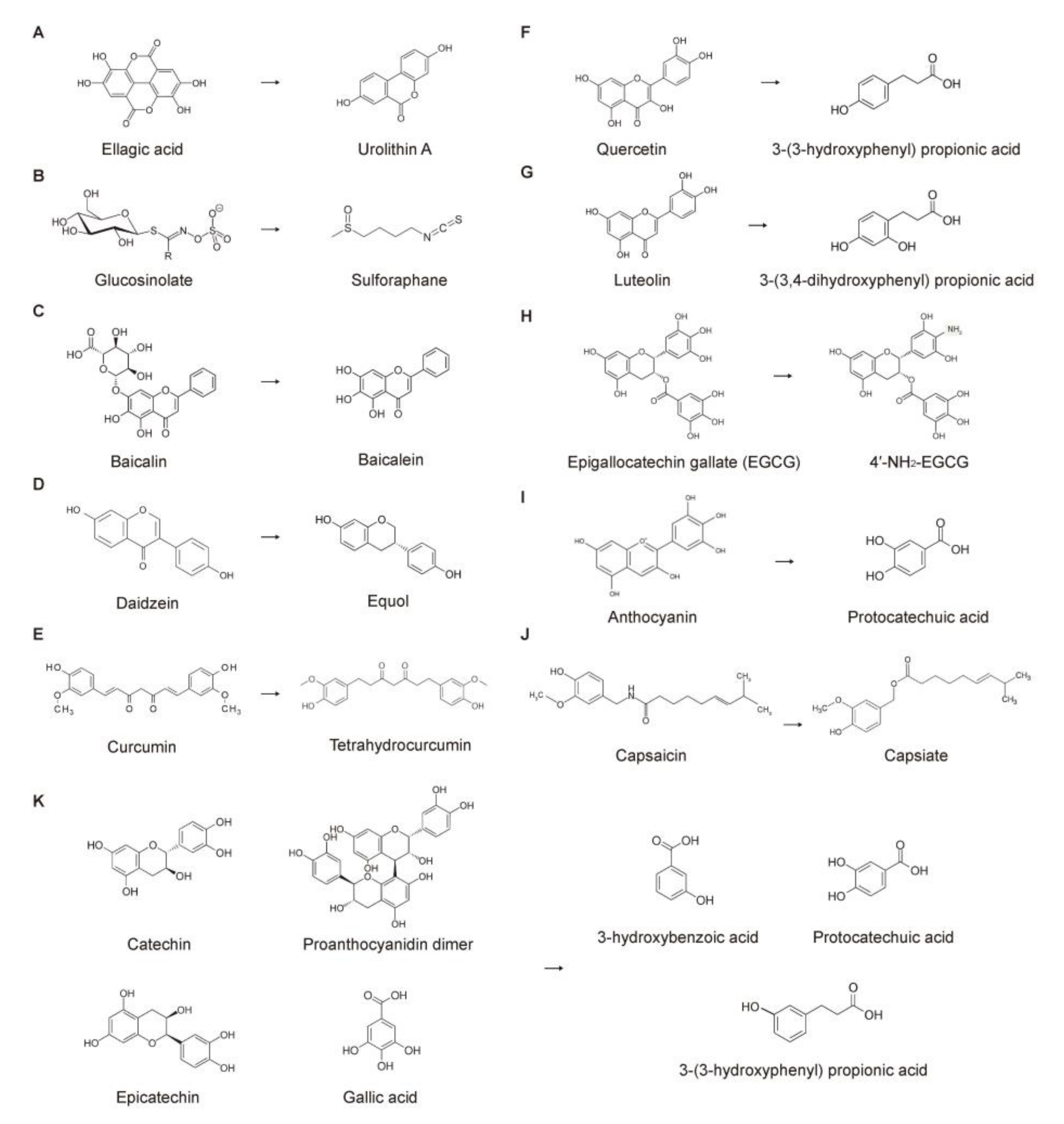 Nutrients 15 01989 g003 Nutrients 15 01989 g003