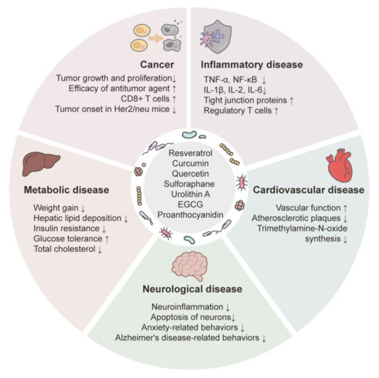 Interplay between Phytochemicals and the Colonic Microbiota