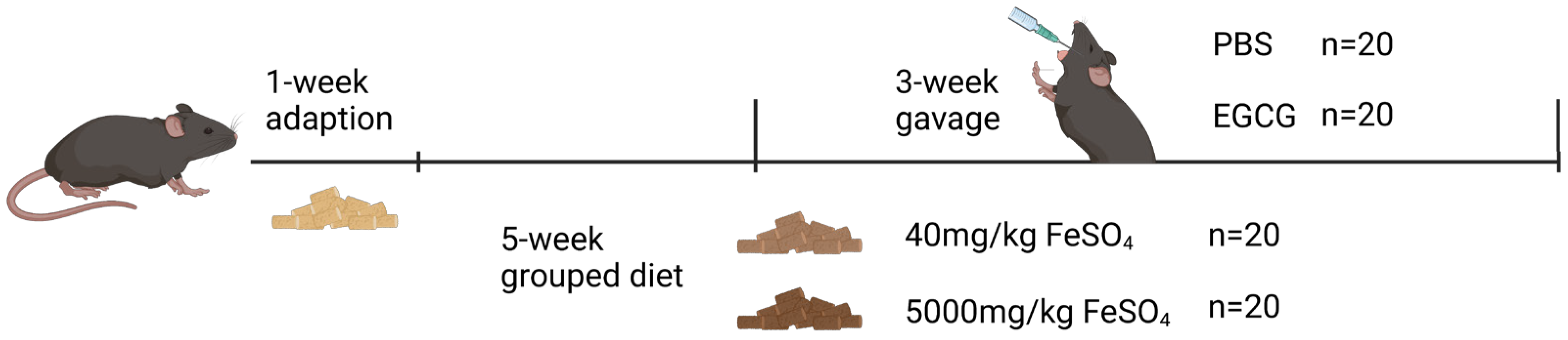 Nutrients 15 01993 g001 Nutrients 15 01993 g001