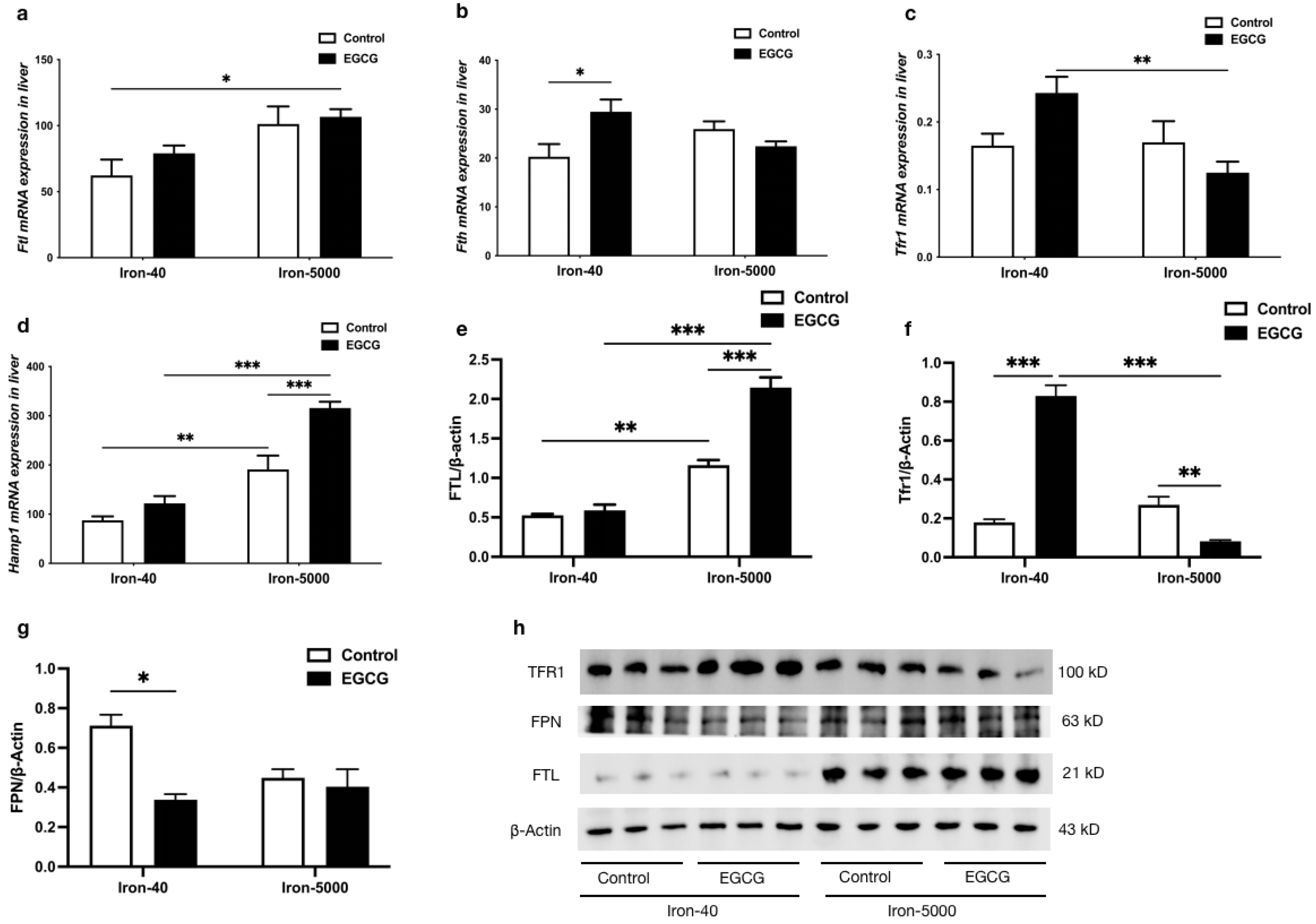 Nutrients 15 01993 g007 Nutrients 15 01993 g007
