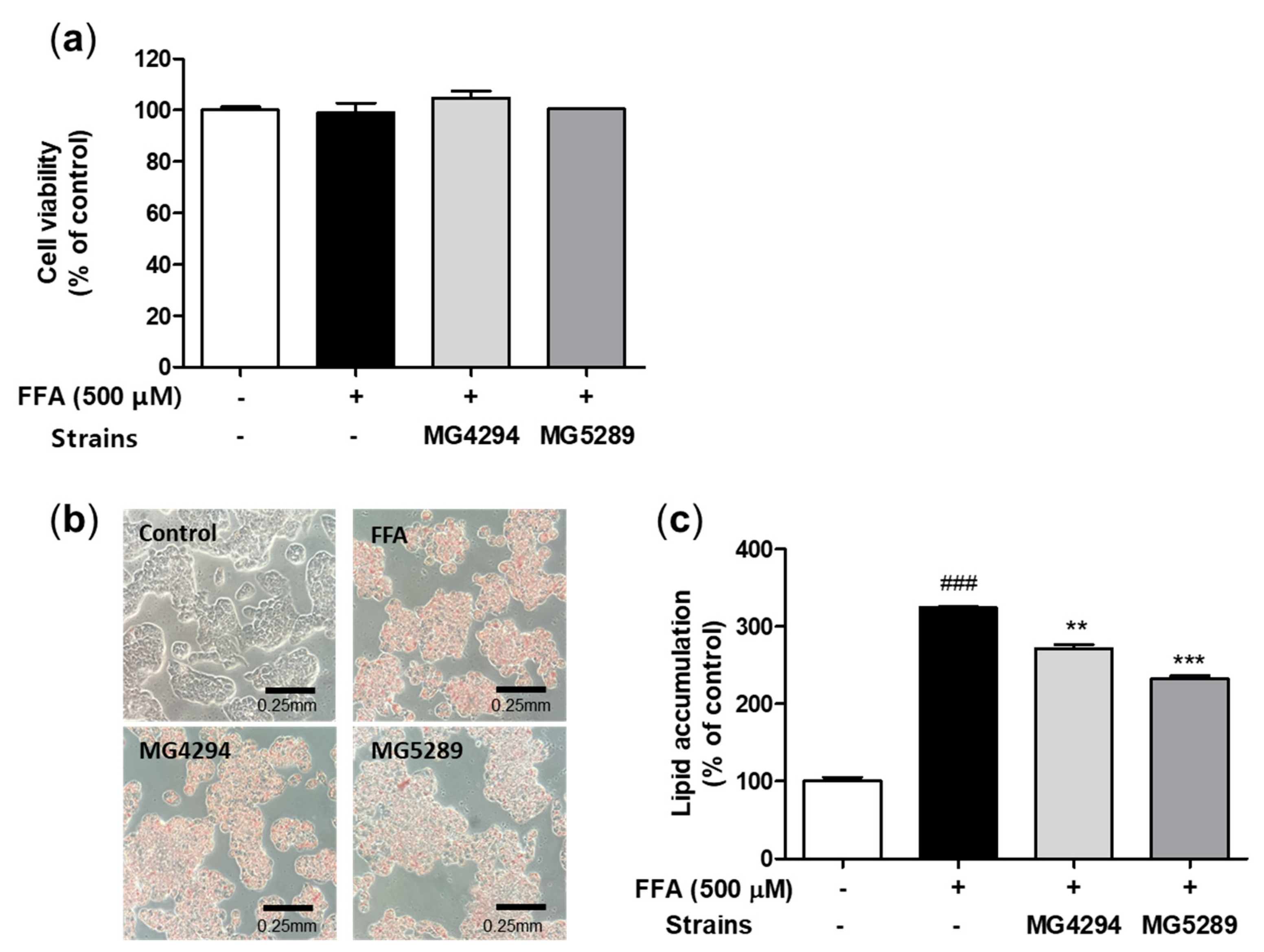Nutrients 15 02005 g002 Nutrients 15 02005 g002