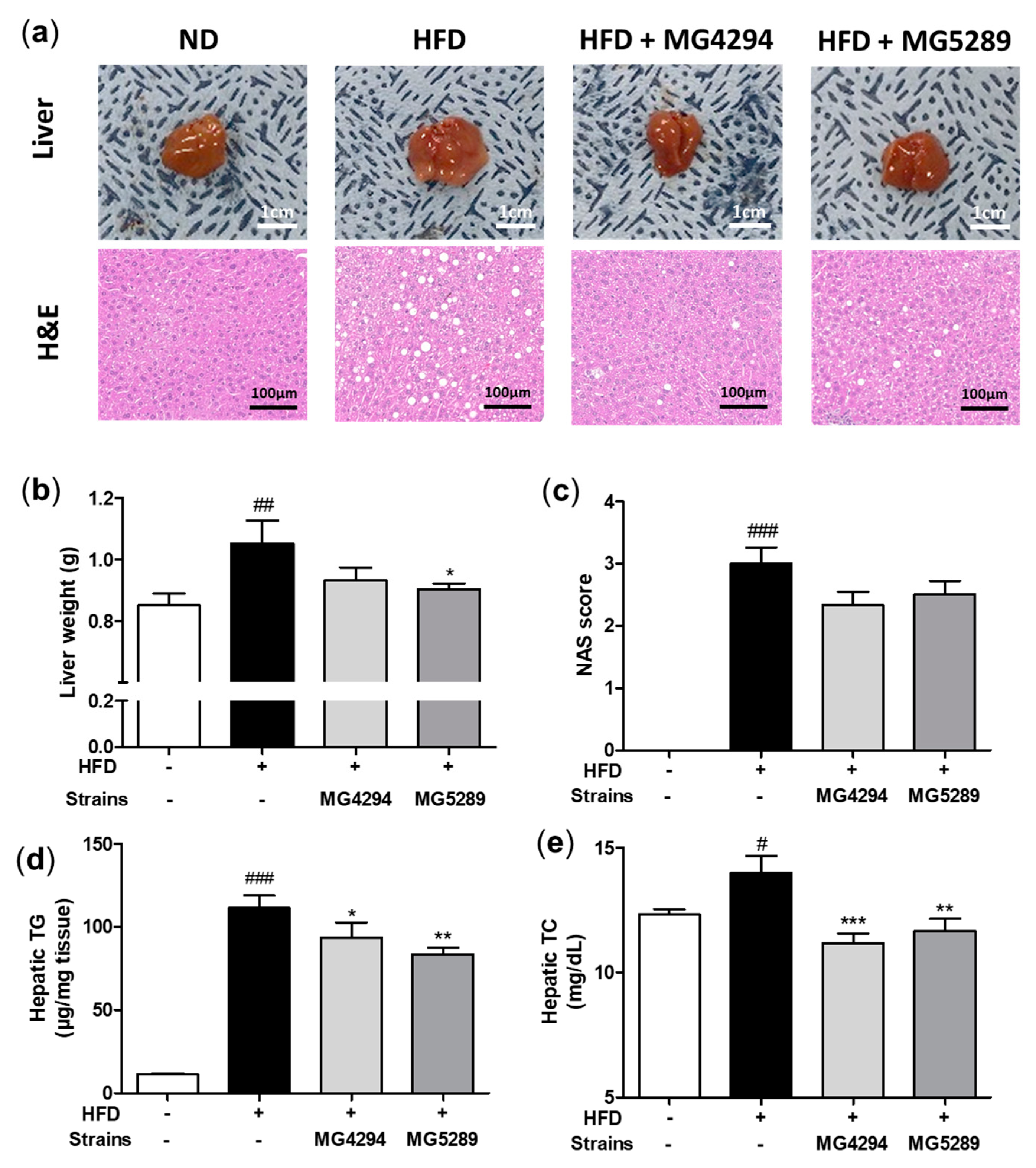Nutrients 15 02005 g006 Nutrients 15 02005 g006