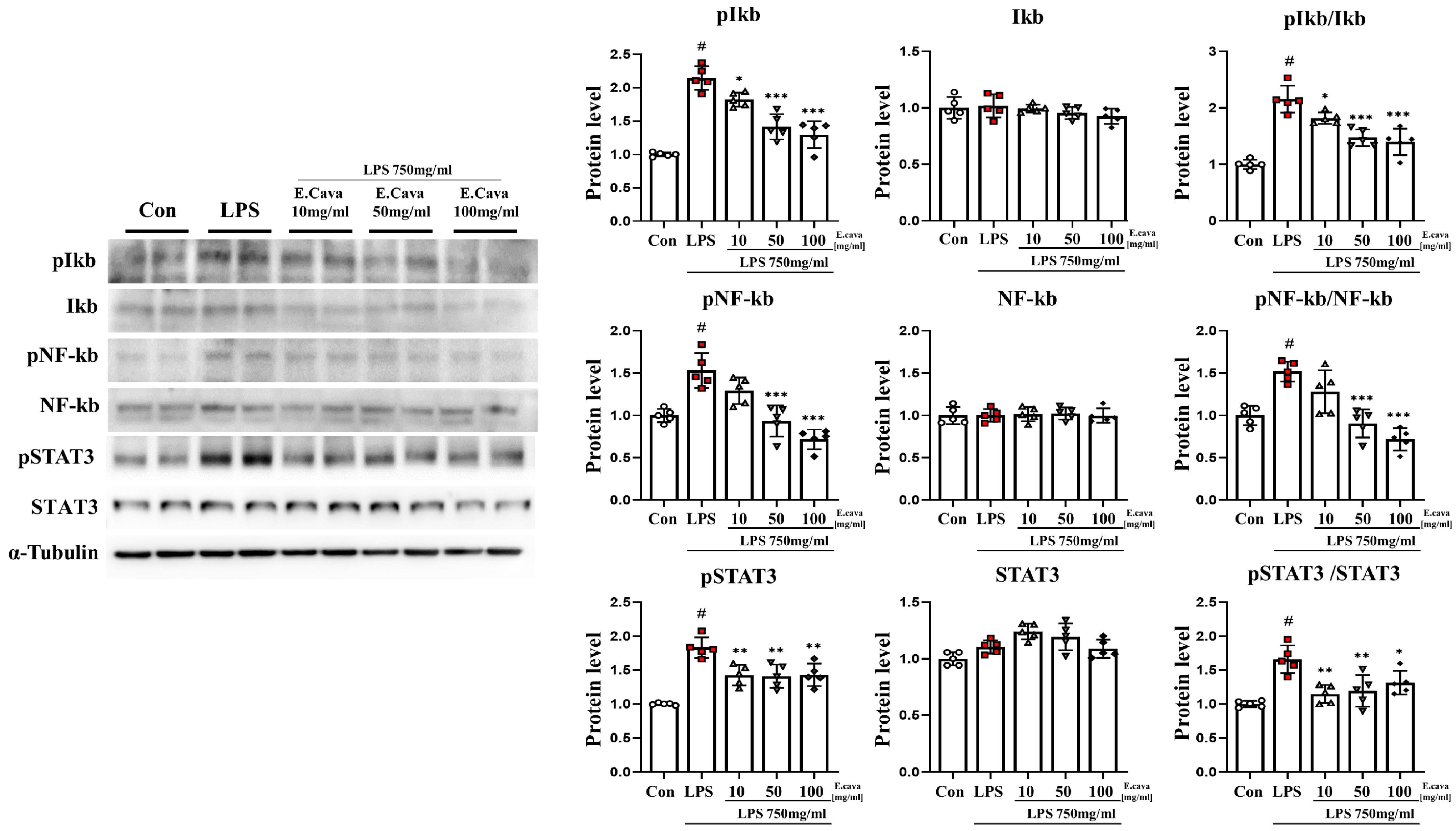 Nutrients 15 02007 g003 Nutrients 15 02007 g003