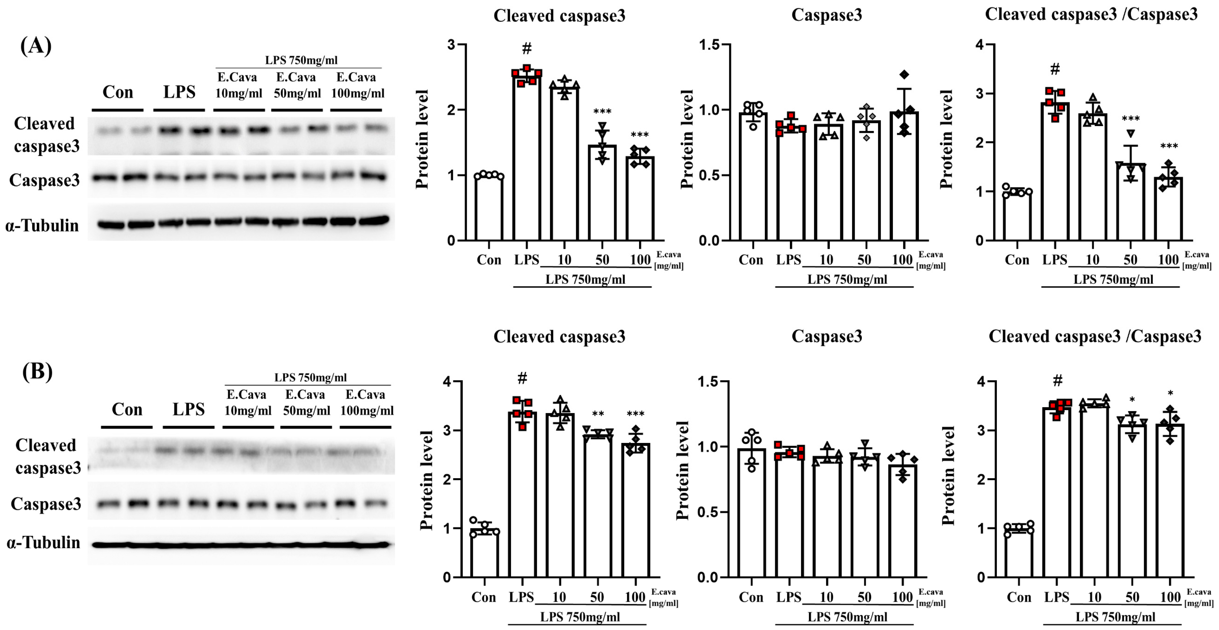 Nutrients 15 02007 g004 Nutrients 15 02007 g004