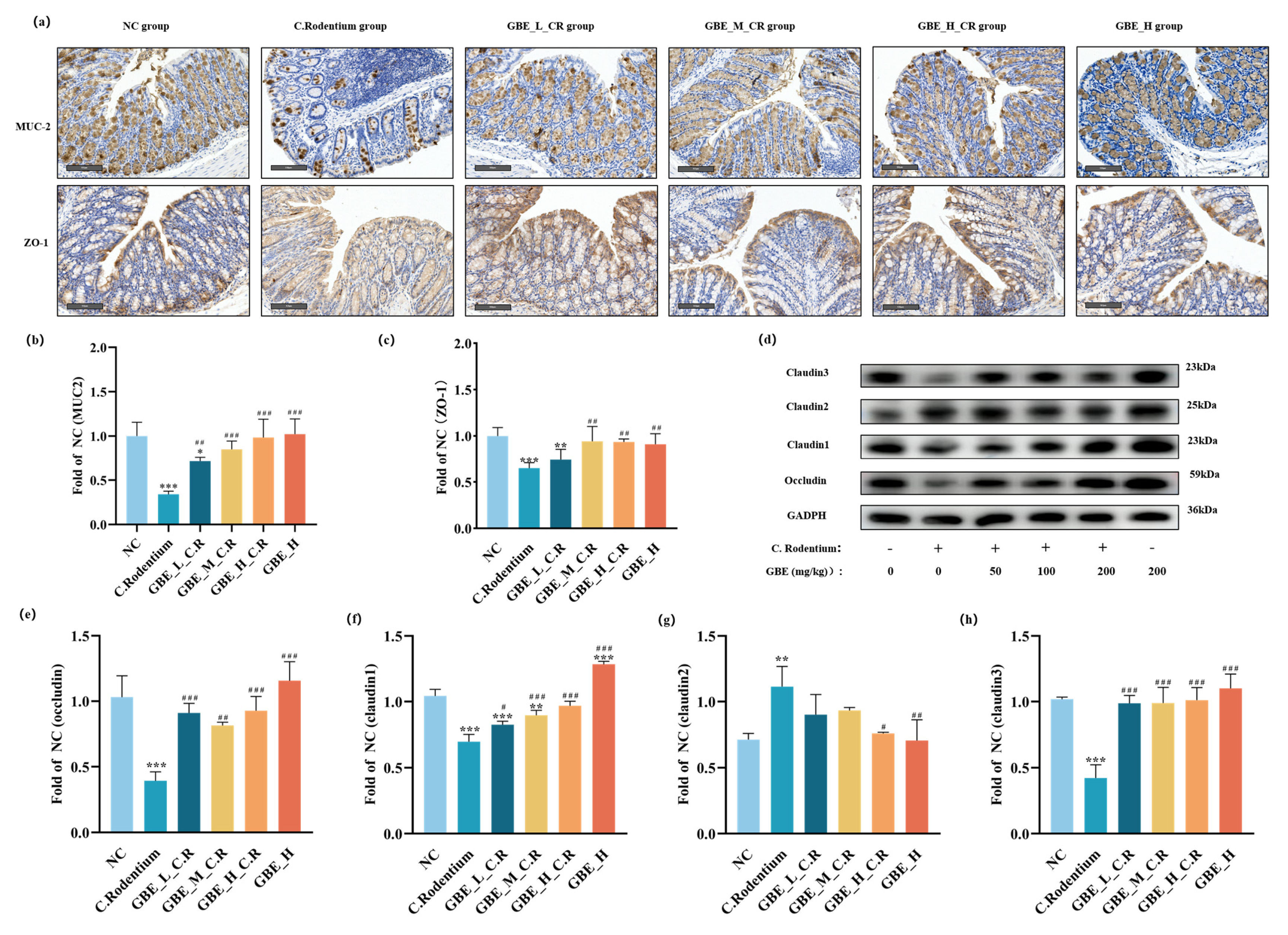 Nutrients 15 02008 g005 Nutrients 15 02008 g005