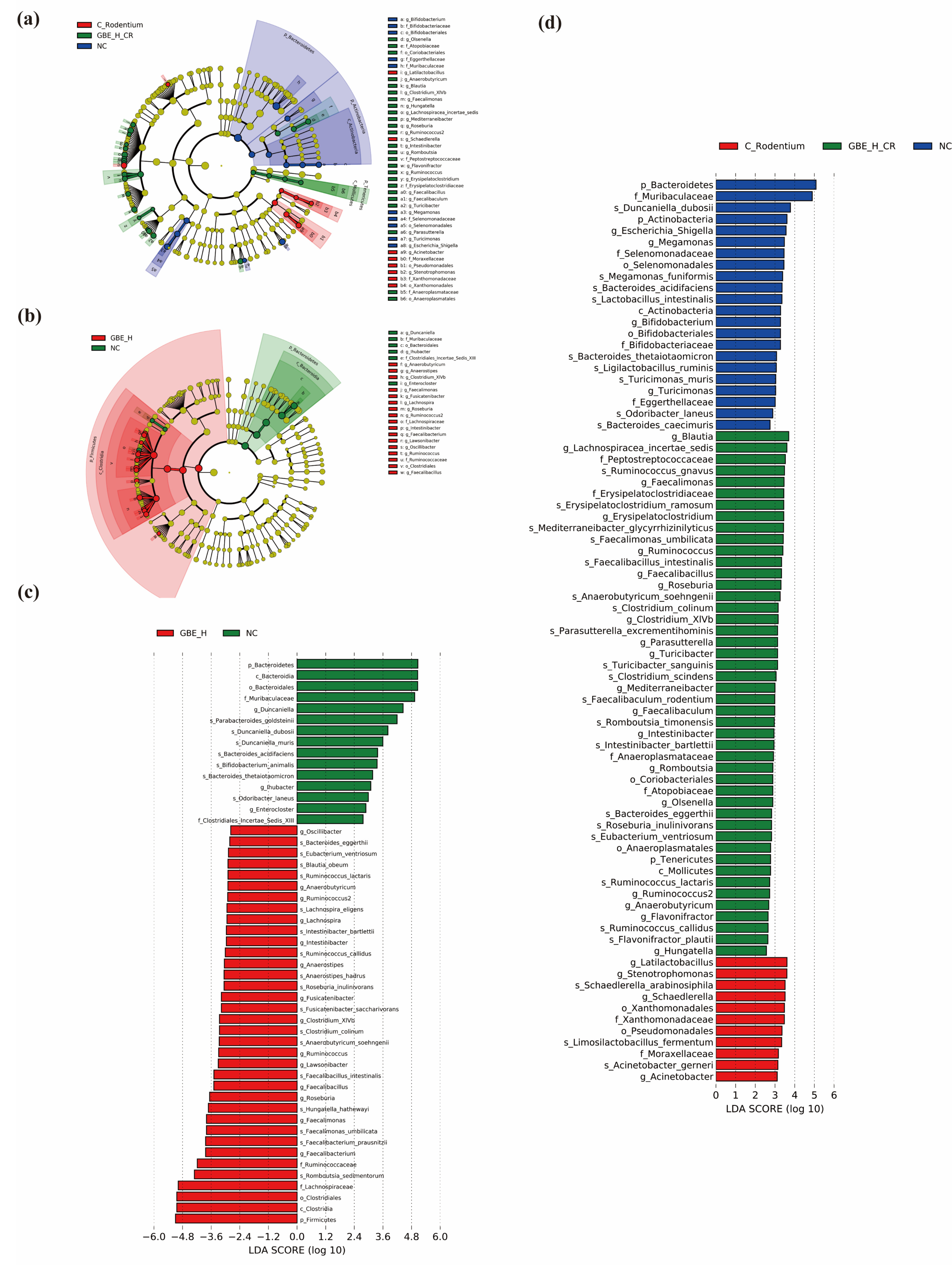 Nutrients 15 02008 g007 Nutrients 15 02008 g007