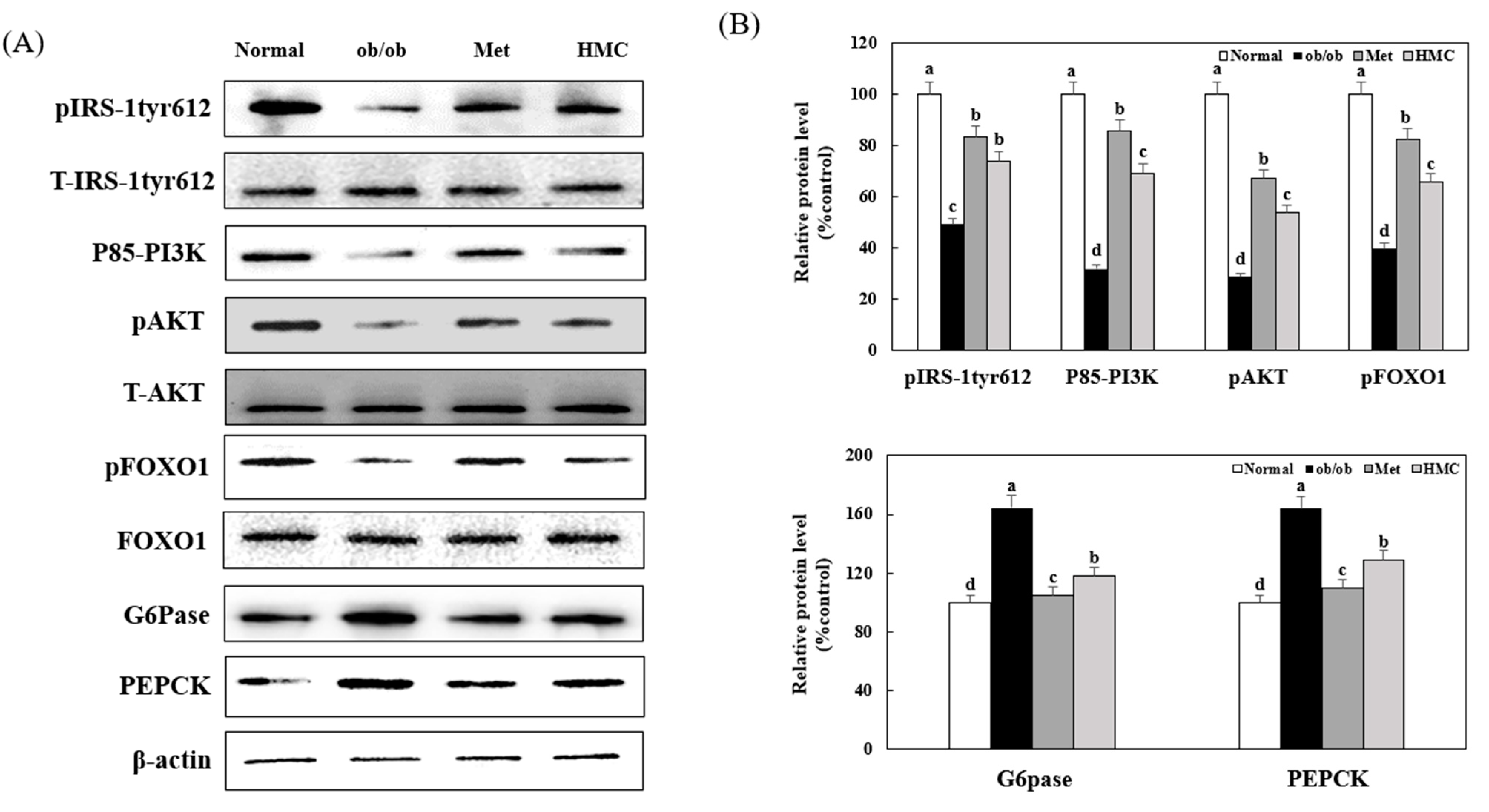 Nutrients 15 02023 g005 Nutrients 15 02023 g005