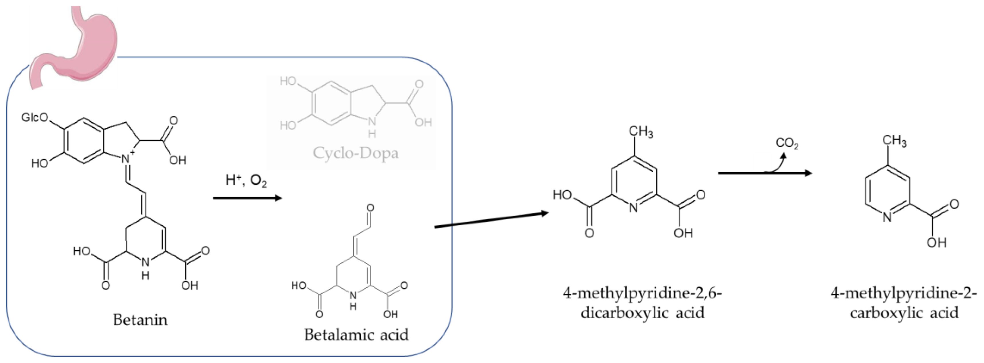 Nutrients 15 02026 g010 Nutrients 15 02026 g010
