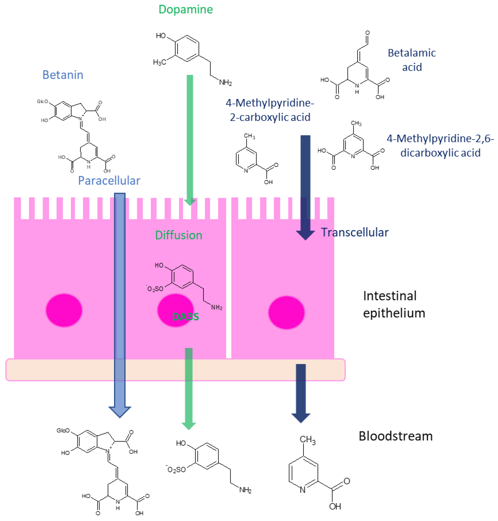 Nutrients 15 02026 g011 Nutrients 15 02026 g011