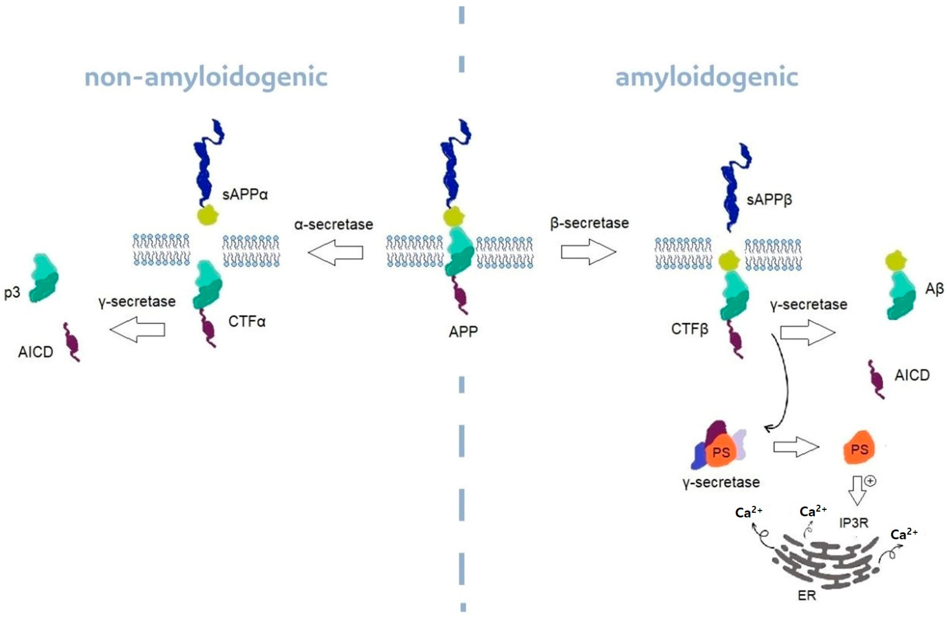 Nutrients 15 02029 g002 Nutrients 15 02029 g002