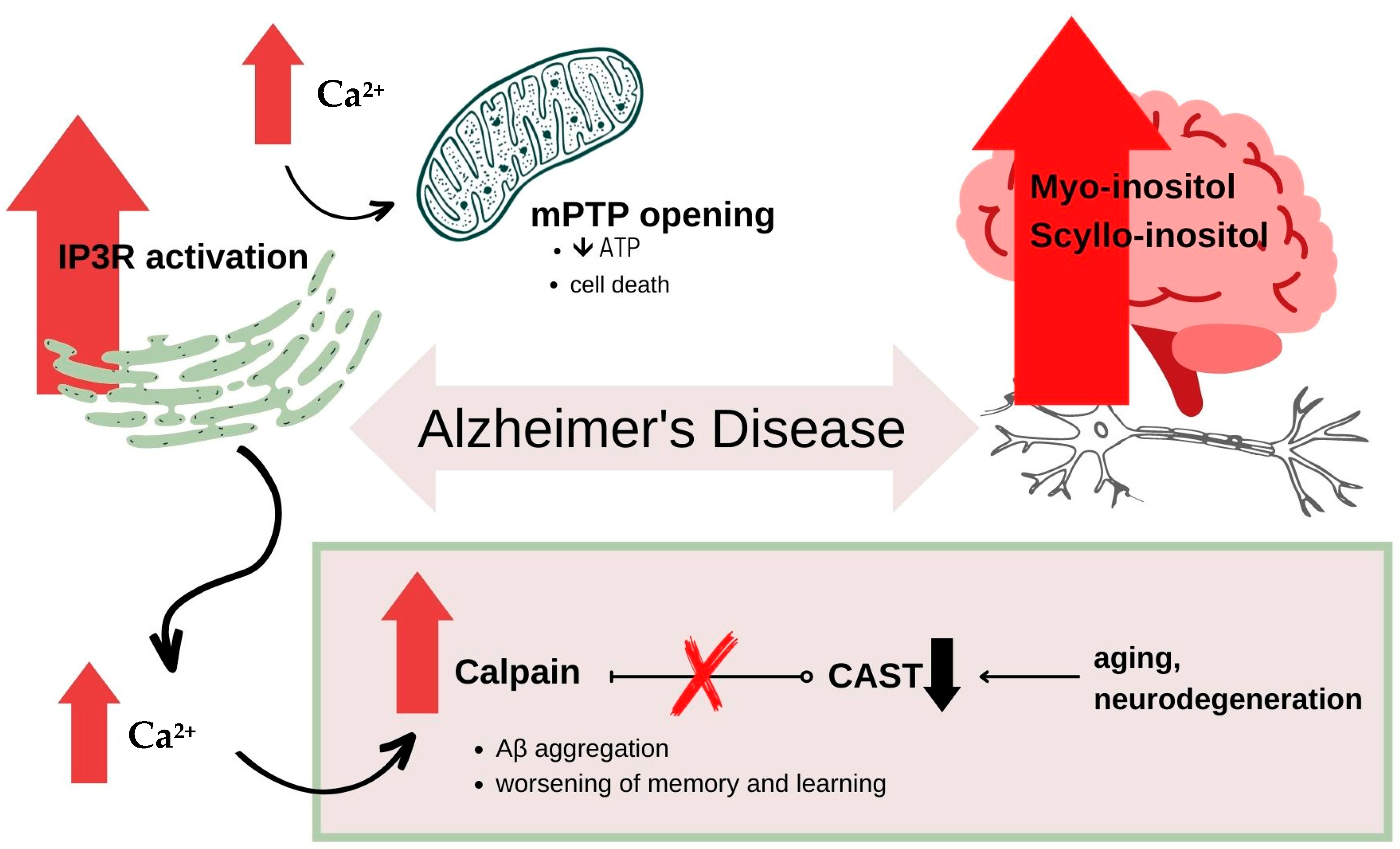 Nutrients 15 02029 g003 Nutrients 15 02029 g003