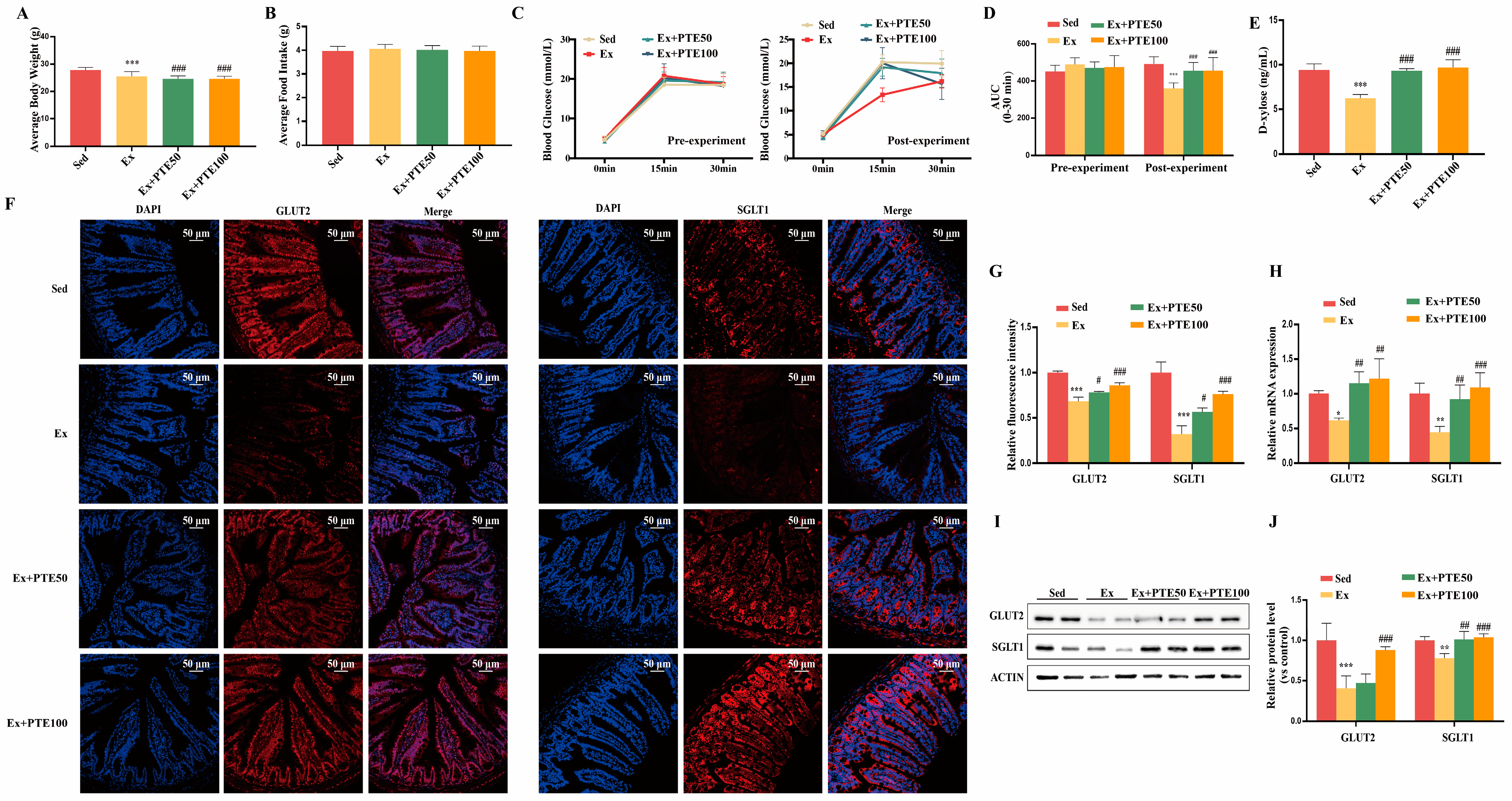Nutrients 15 02036 g001 Nutrients 15 02036 g001