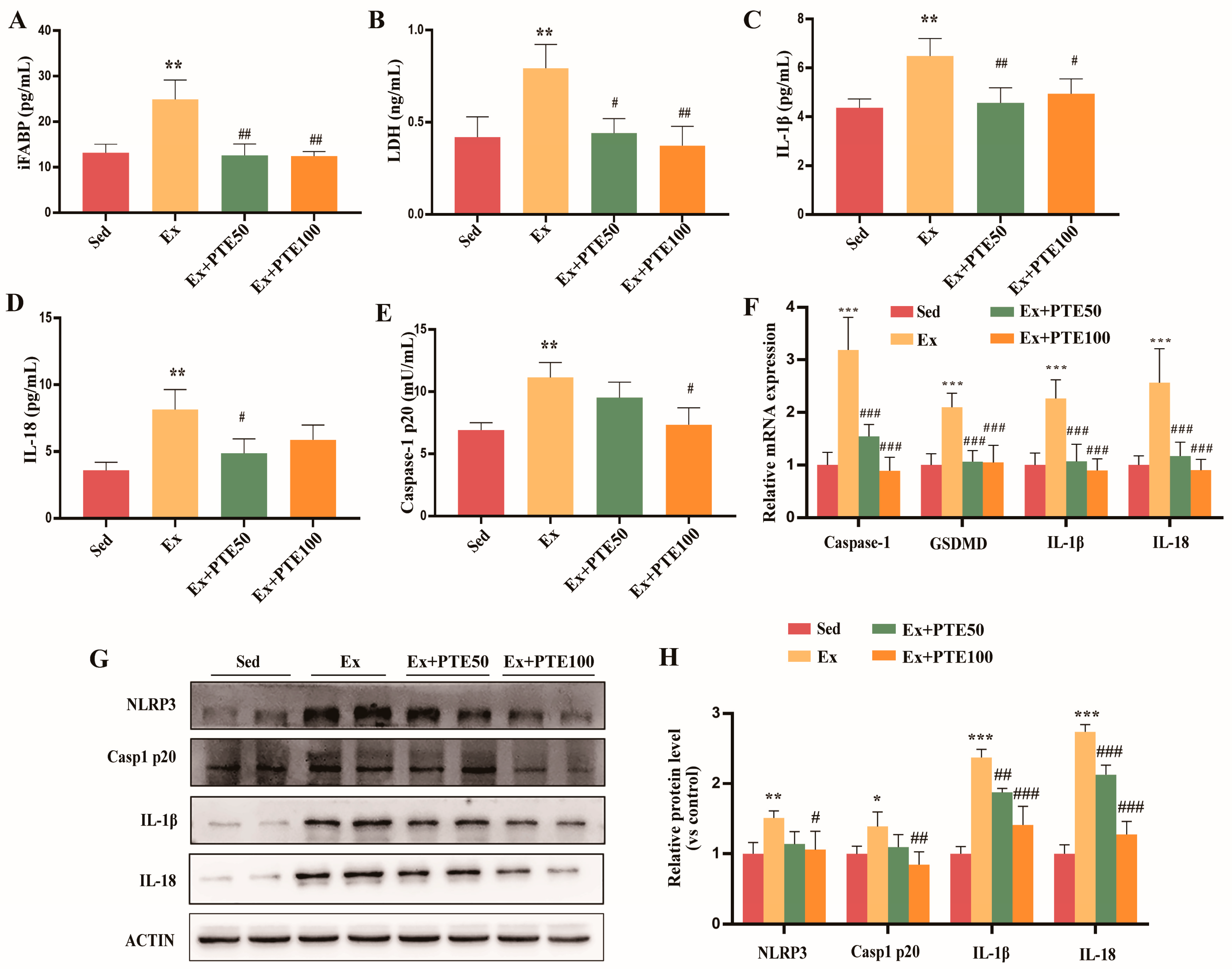 Nutrients 15 02036 g002 Nutrients 15 02036 g002
