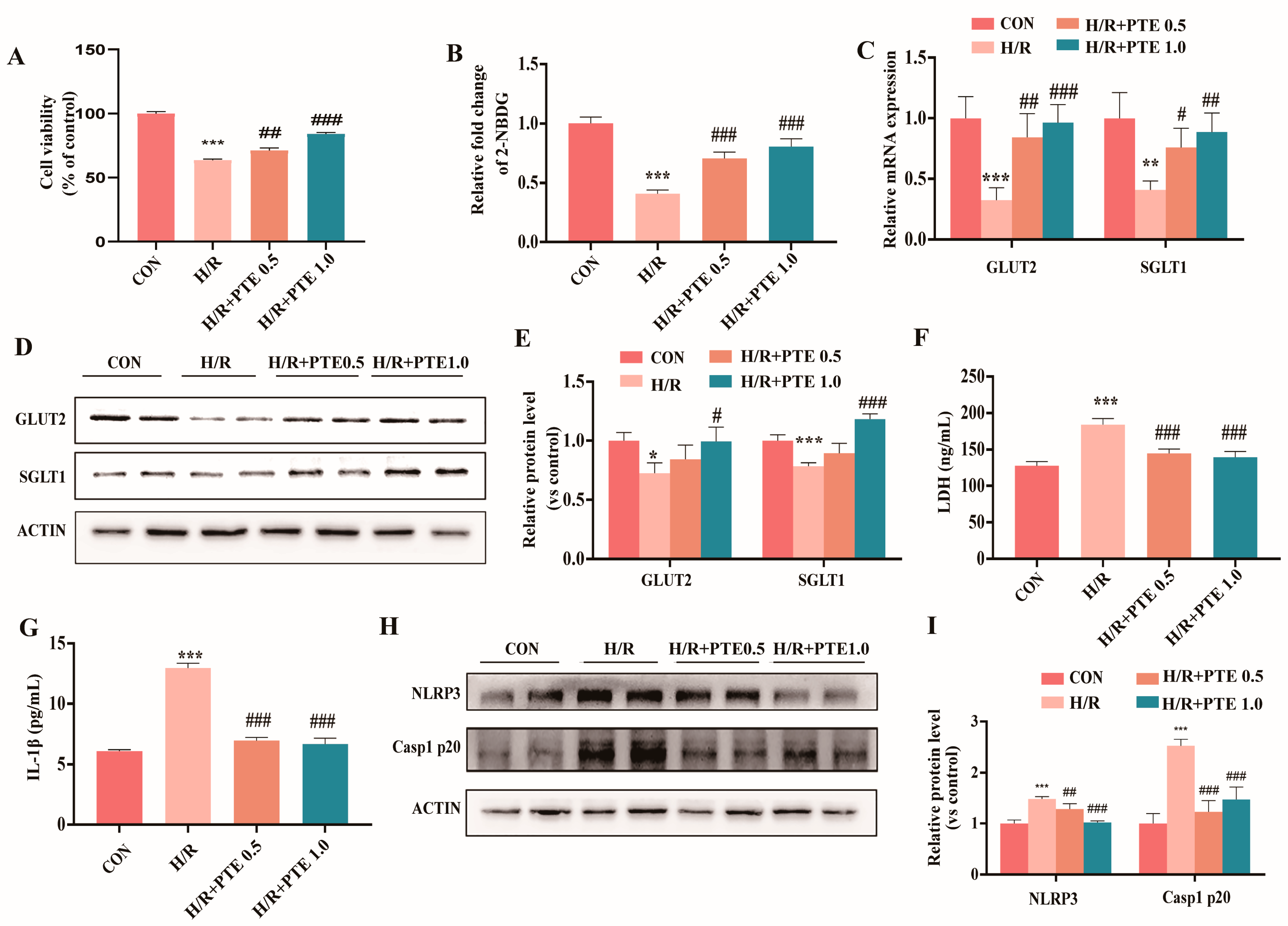 Nutrients 15 02036 g004 Nutrients 15 02036 g004