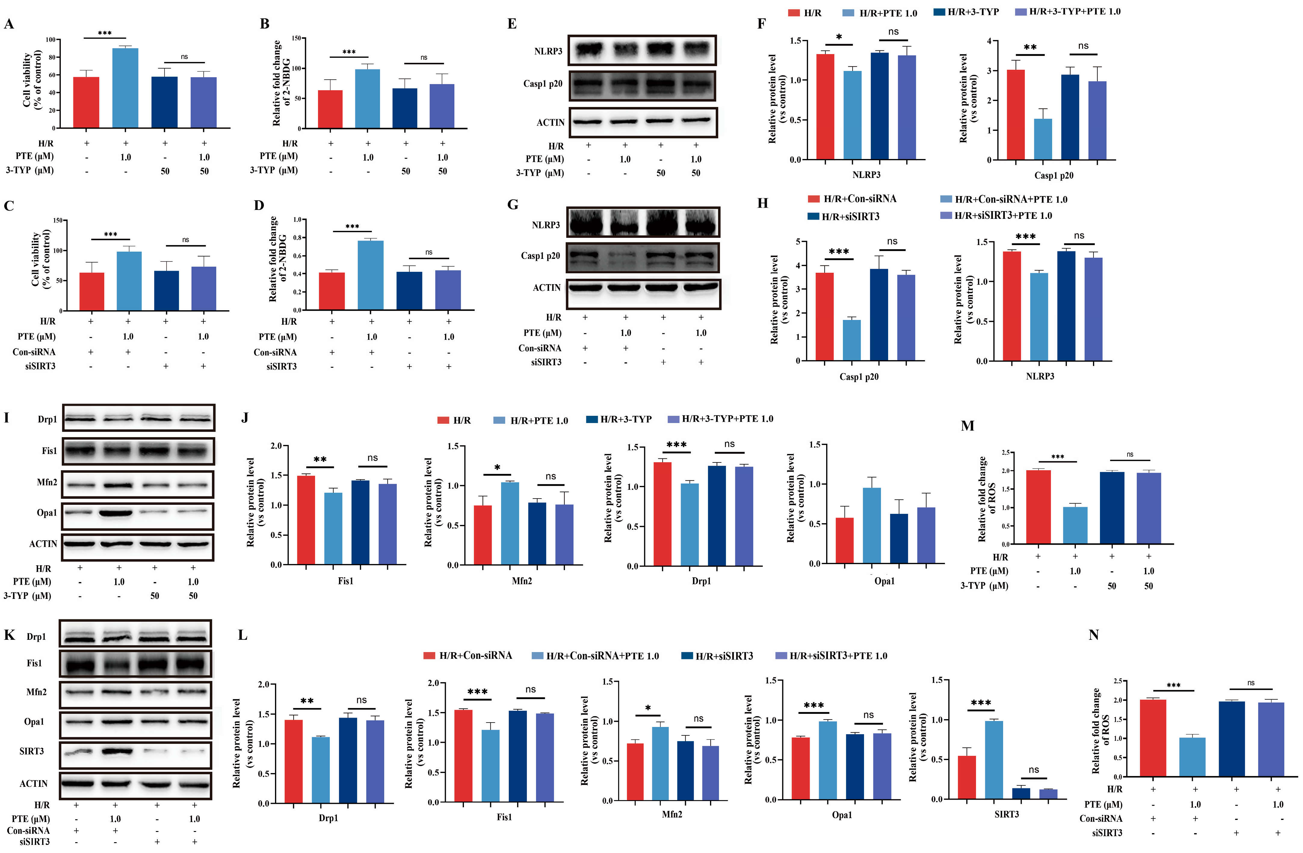 Nutrients 15 02036 g006 Nutrients 15 02036 g006