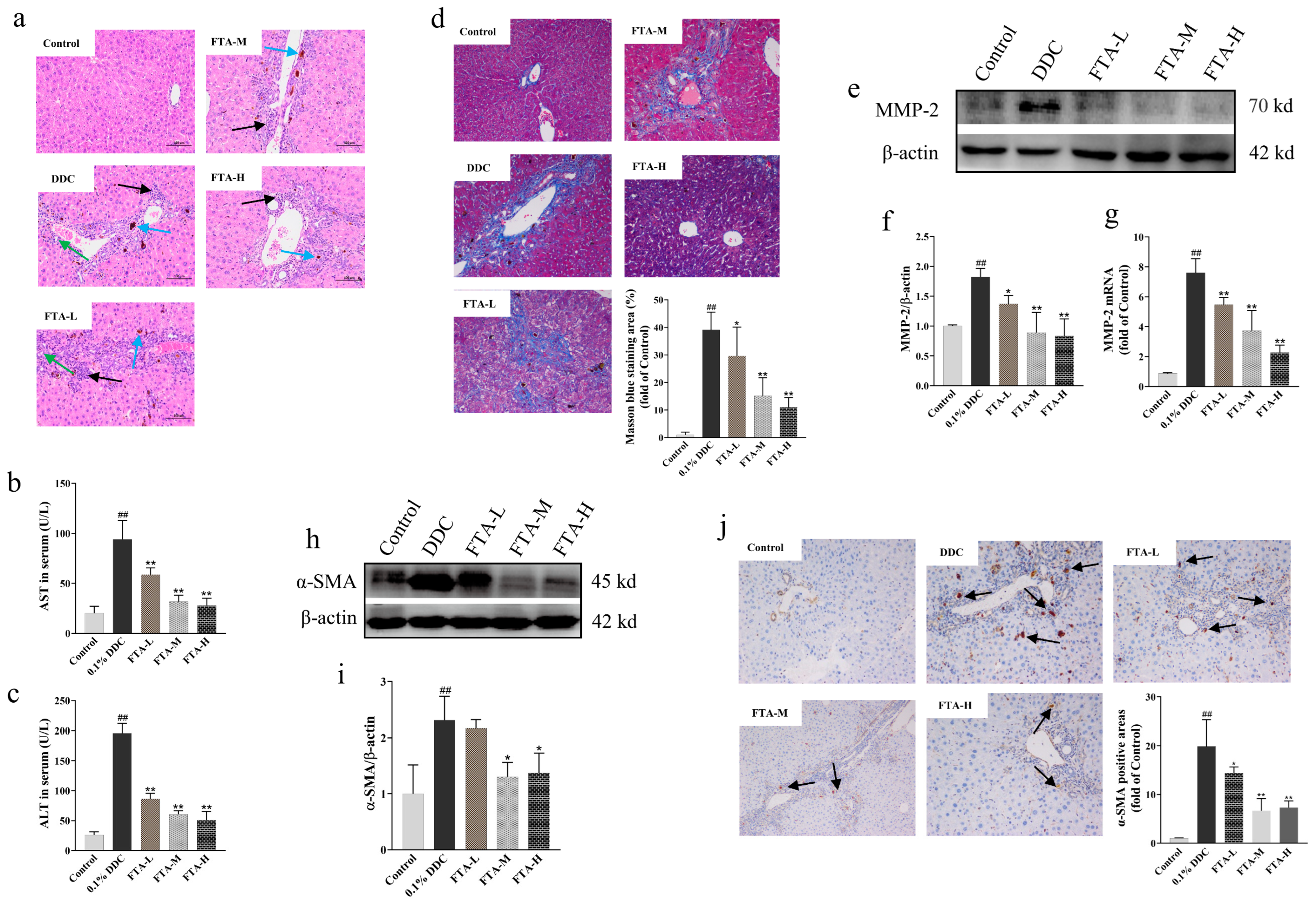 Nutrients 15 02065 g008 Nutrients 15 02065 g008