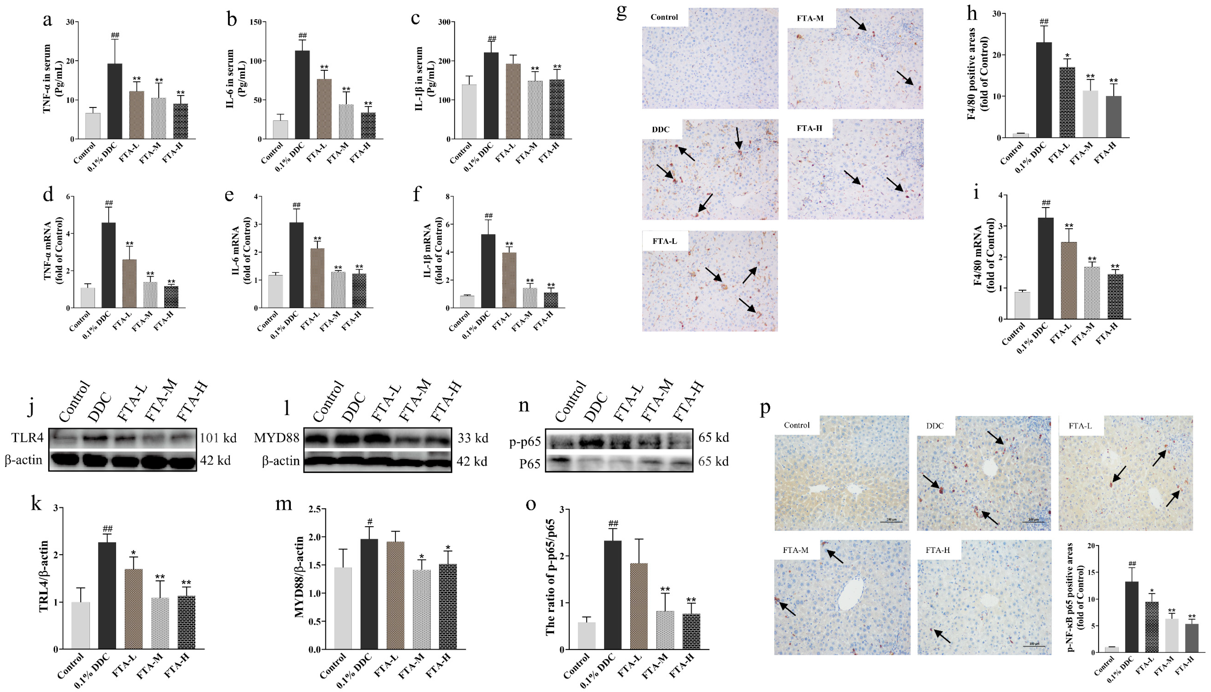Nutrients 15 02065 g009 Nutrients 15 02065 g009