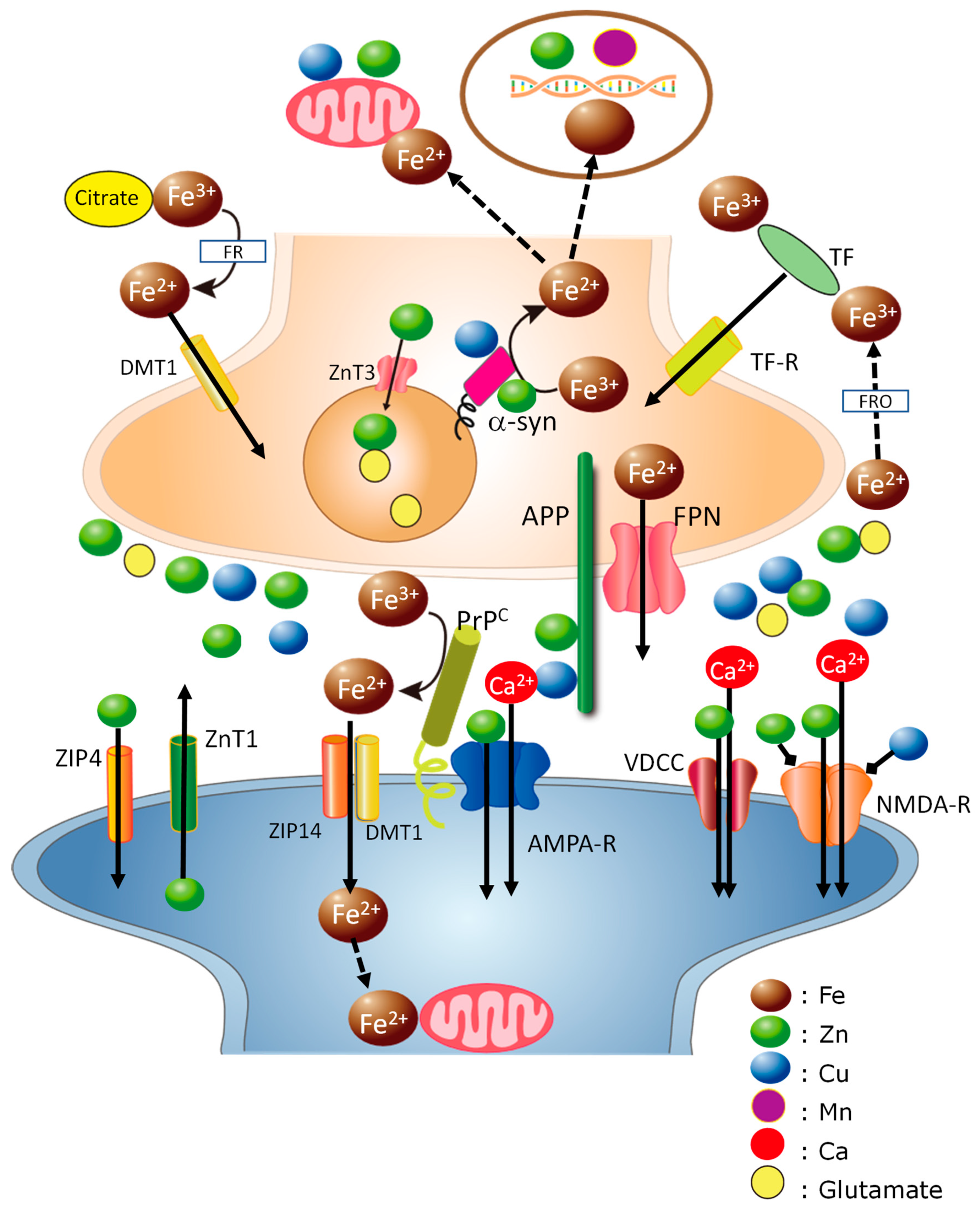 Nutrients 15 02067 g003