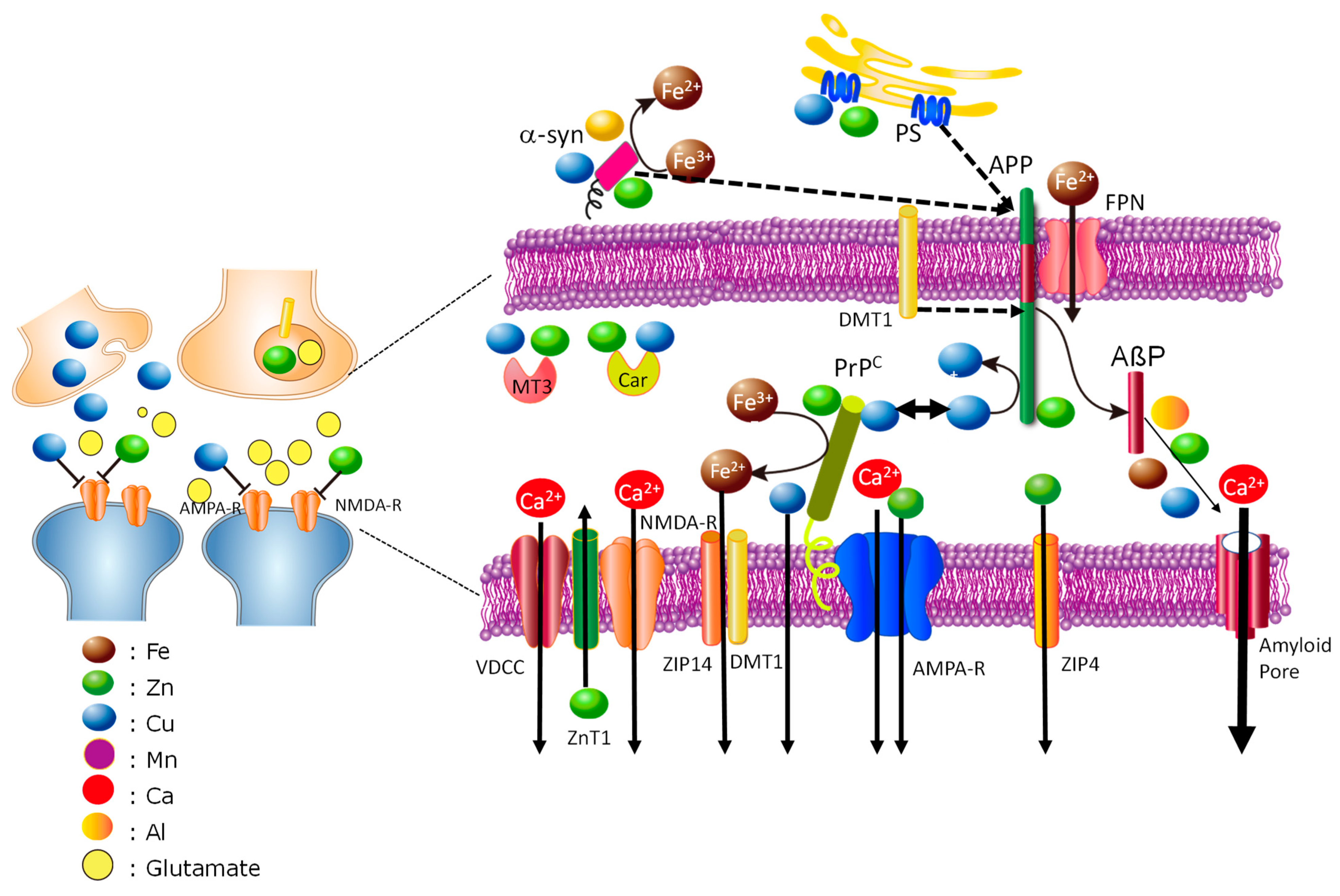 Nutrients 15 02067 g004
