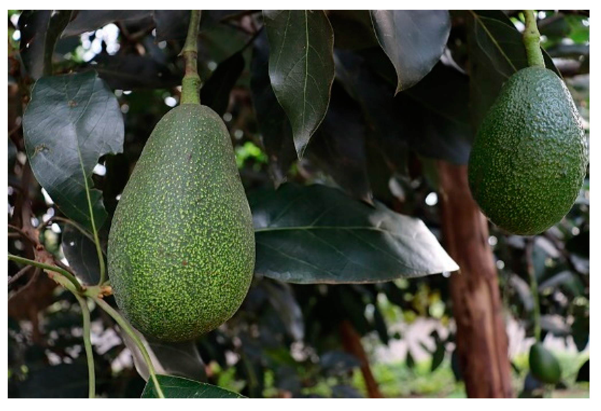 Nutrients 15 02070 g005 Nutrients 15 02070 g005