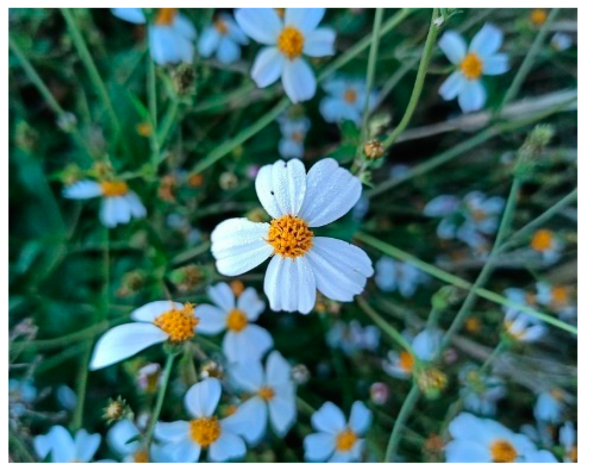 Nutrients 15 02070 g006 Nutrients 15 02070 g006