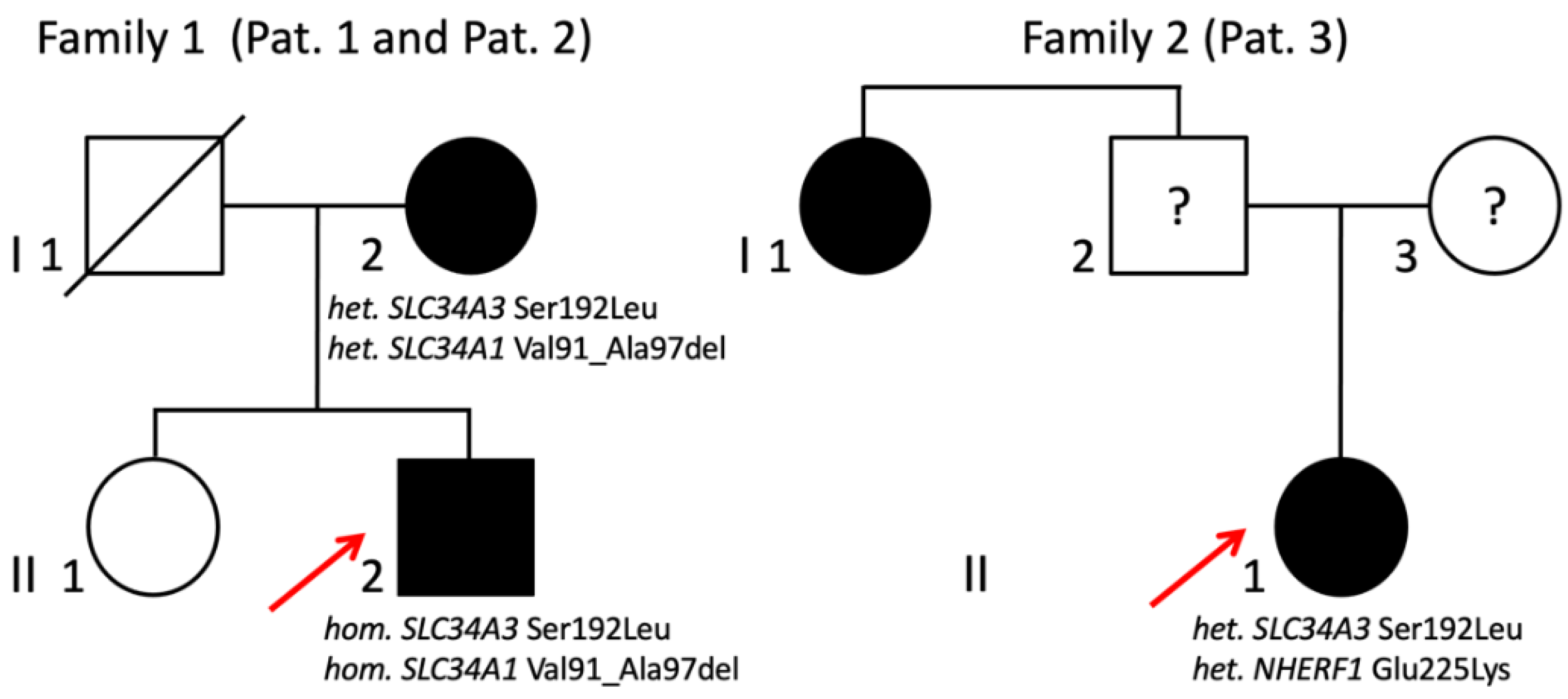 Nutrients 15 02081 g002 Nutrients 15 02081 g002