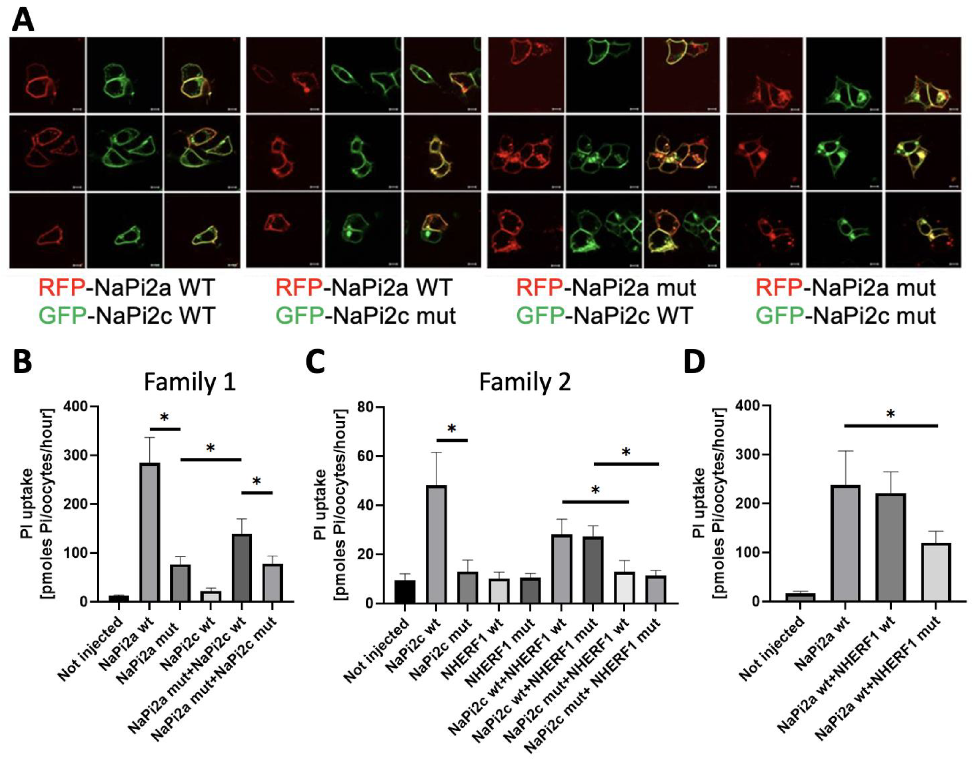 Nutrients 15 02081 g003 Nutrients 15 02081 g003