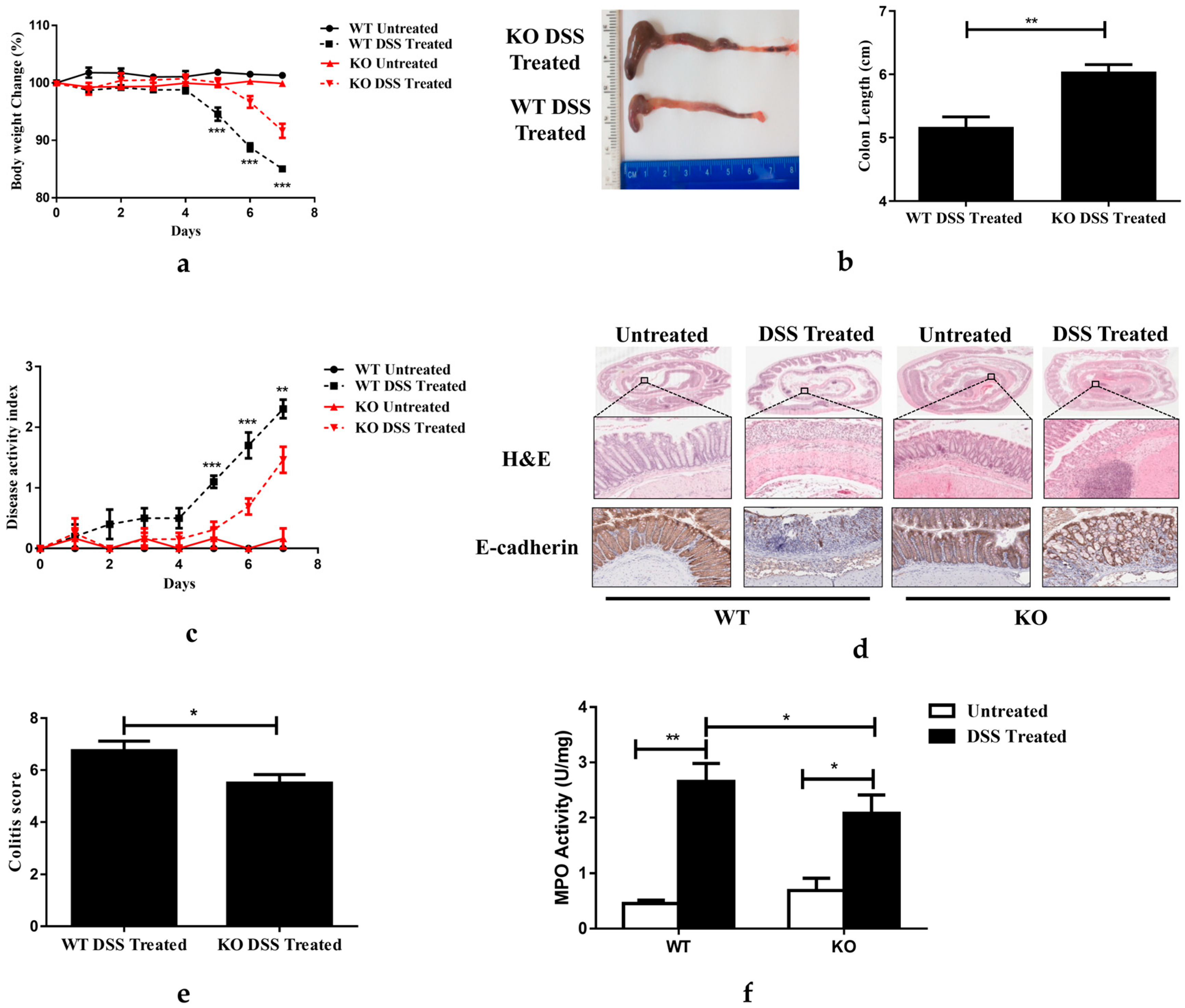 Nutrients 15 02086 g002 Nutrients 15 02086 g002