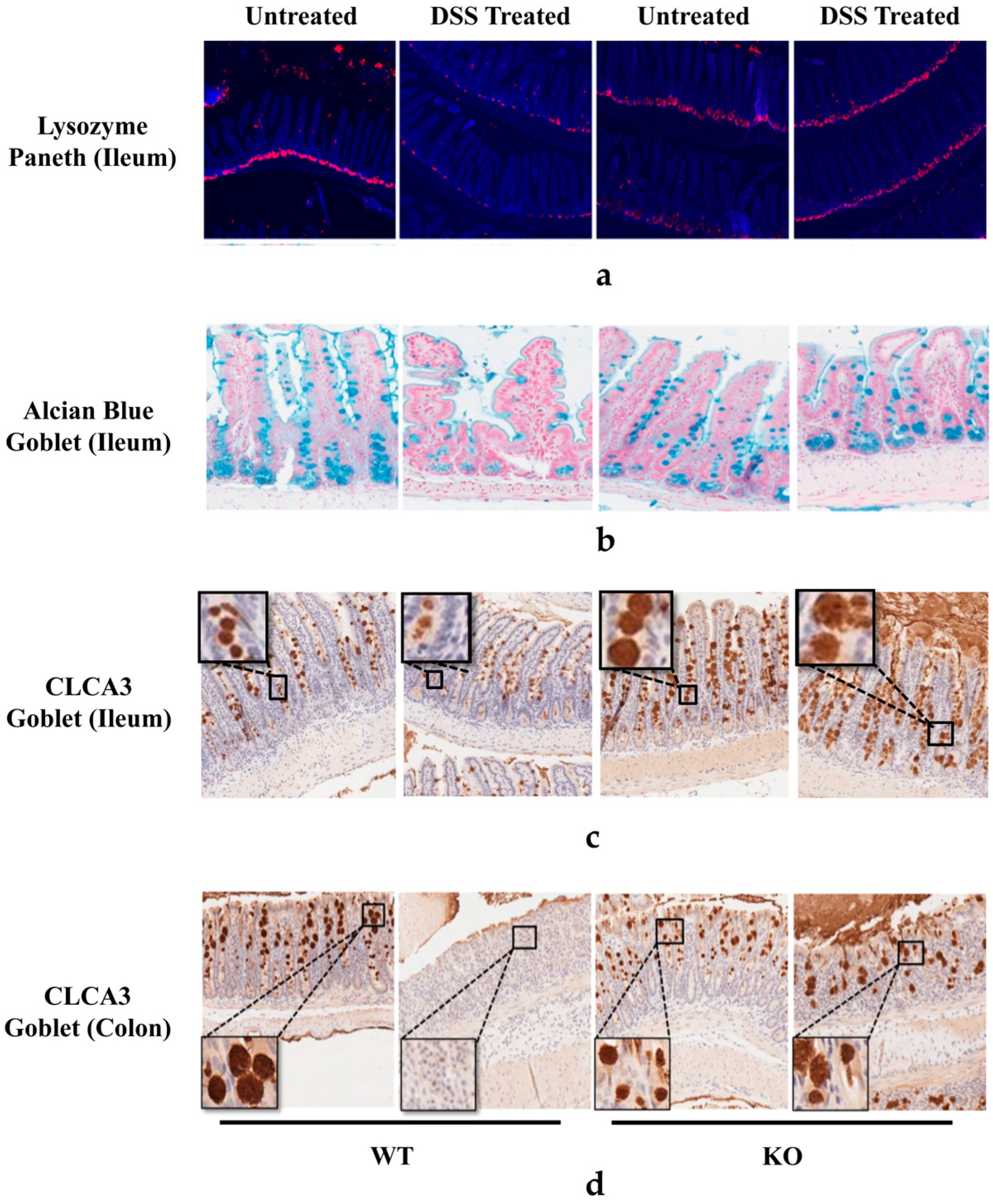 Nutrients 15 02086 g004 Nutrients 15 02086 g004