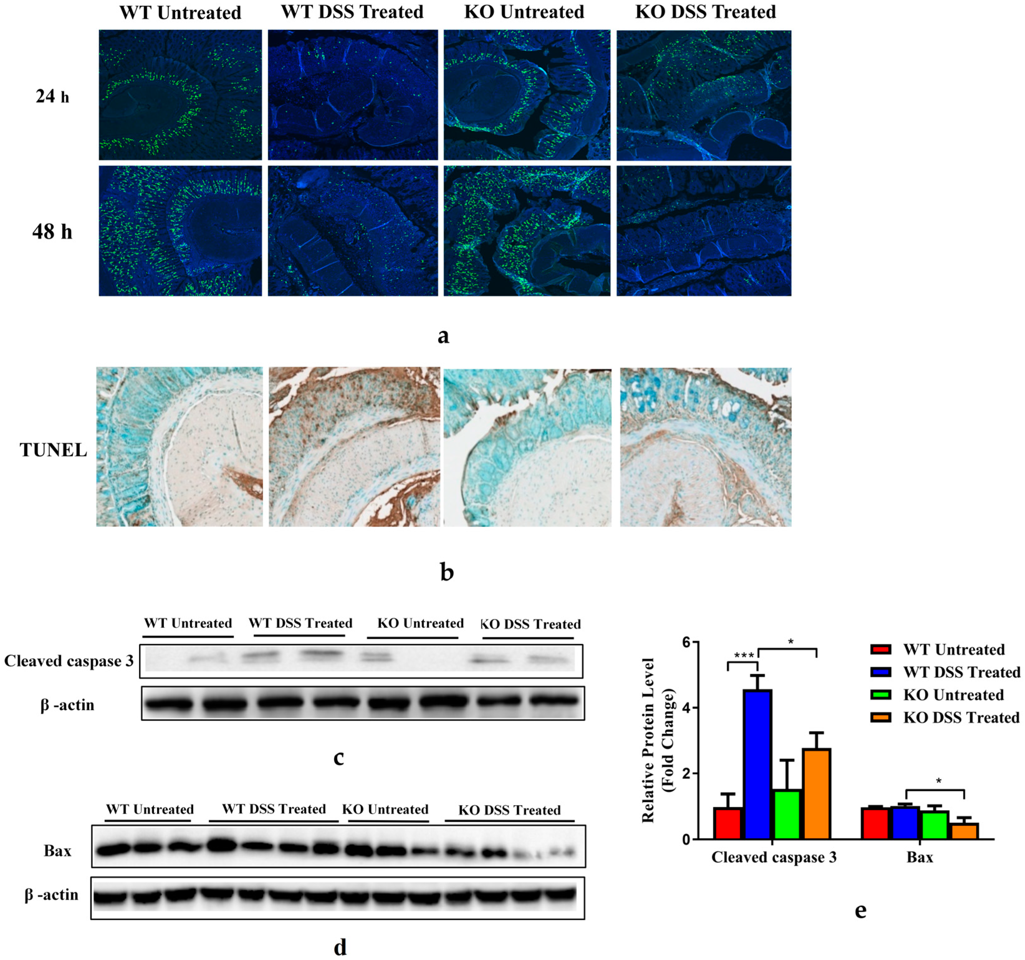 Nutrients 15 02086 g005 Nutrients 15 02086 g005