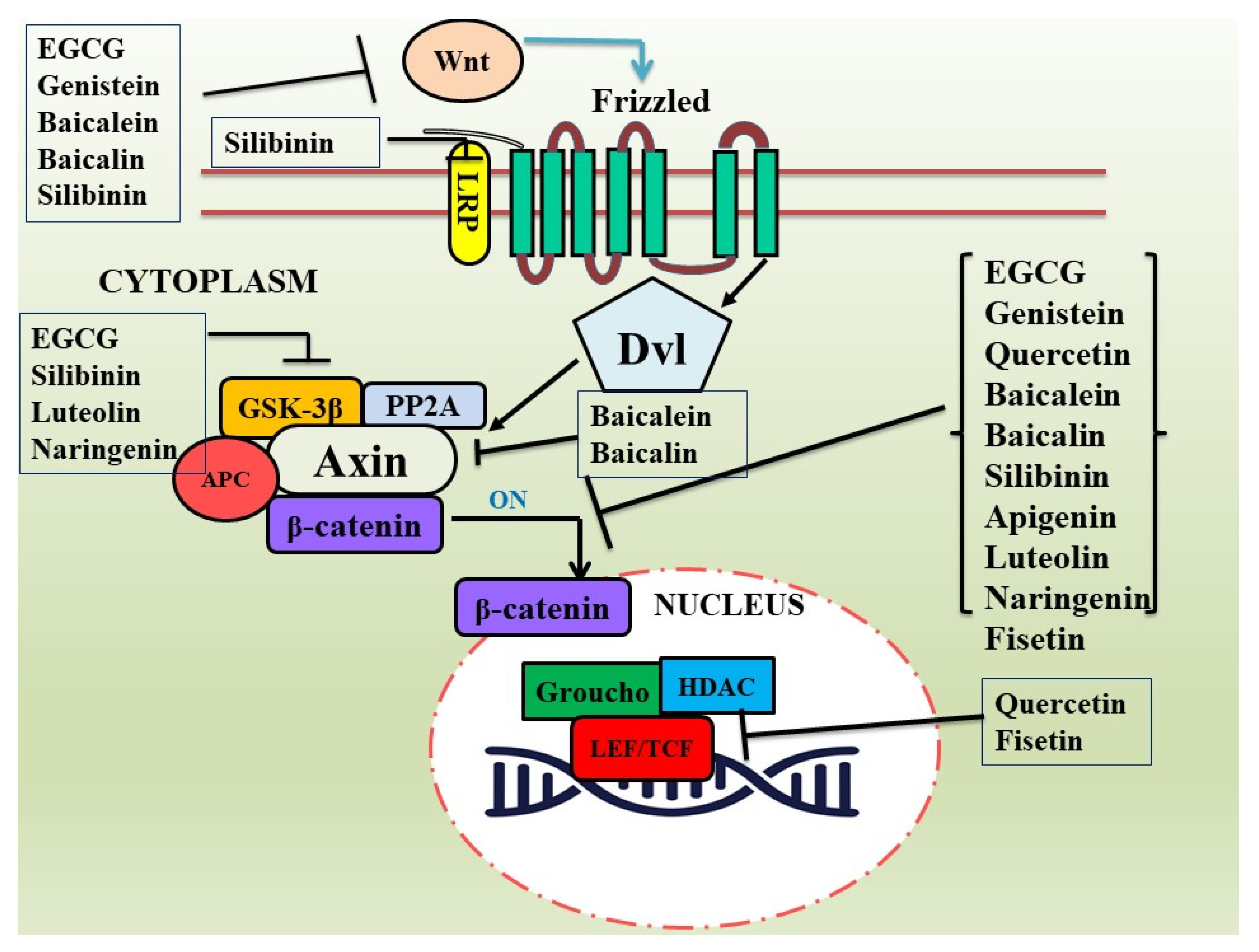 Nutrients 15 02088 g002 Nutrients 15 02088 g002