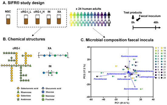 Mechanistic insights into consumption of the food additive xanthan gum by  the human gut microbiota