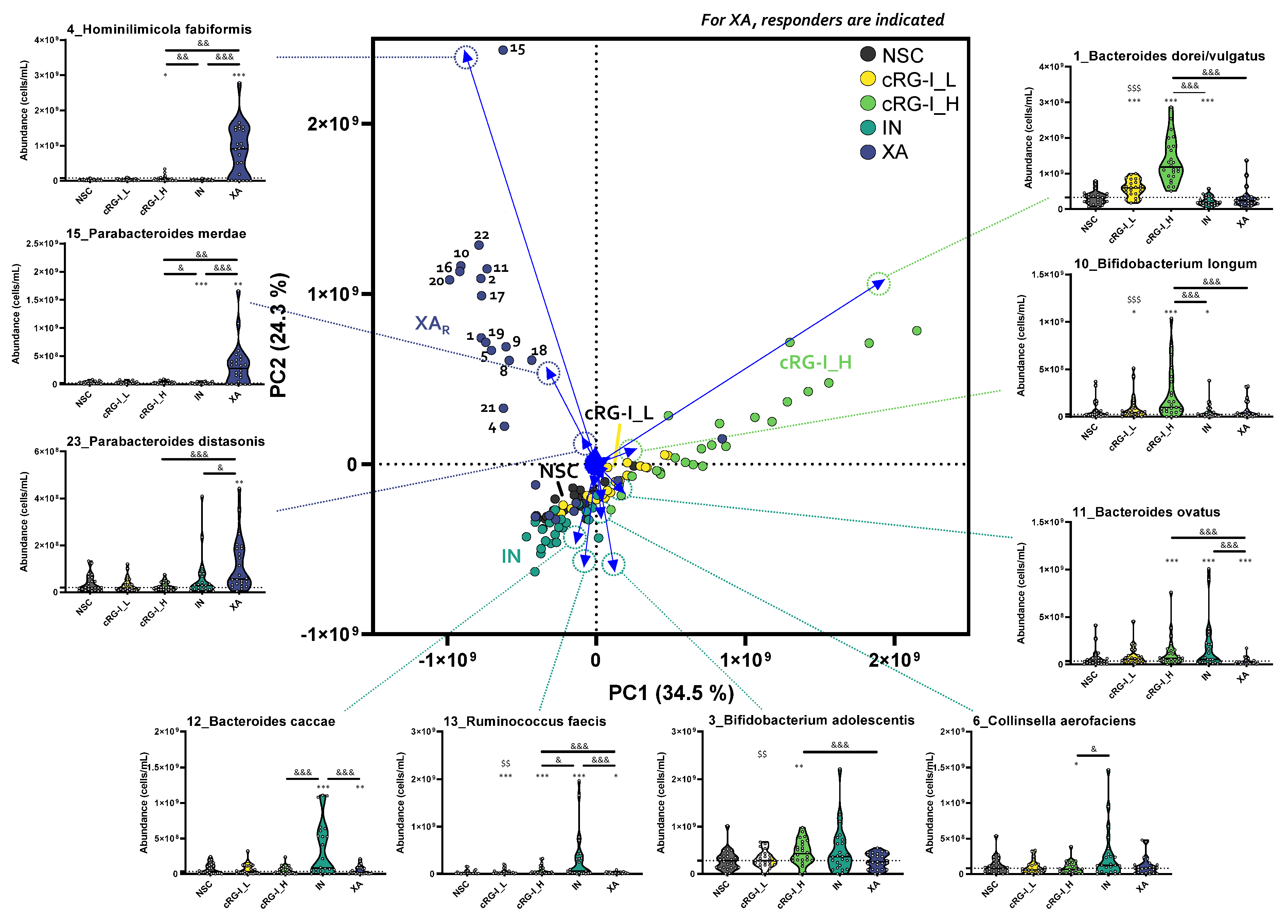 Nutrients 15 02090 g004 Nutrients 15 02090 g004