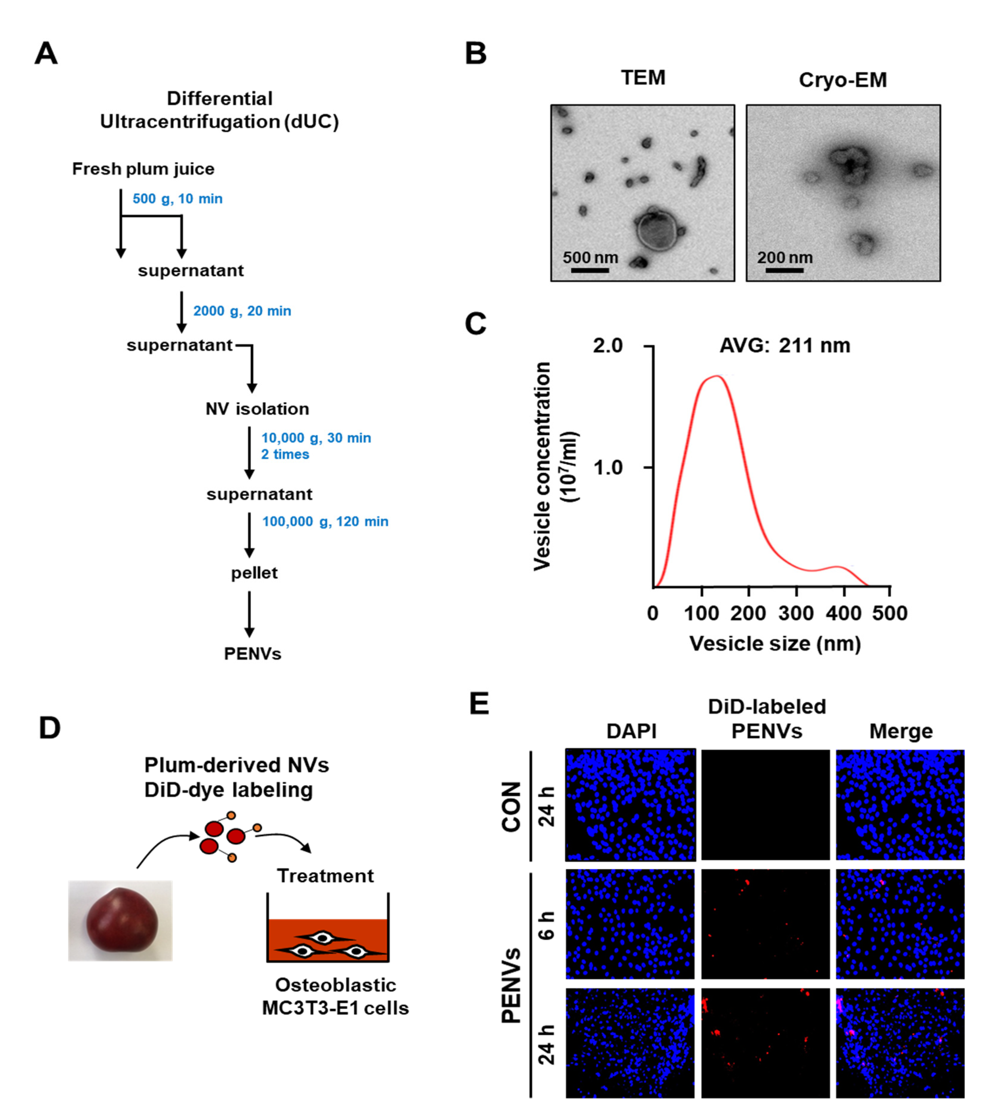 Nutrients 15 02107 g001 Nutrients 15 02107 g001
