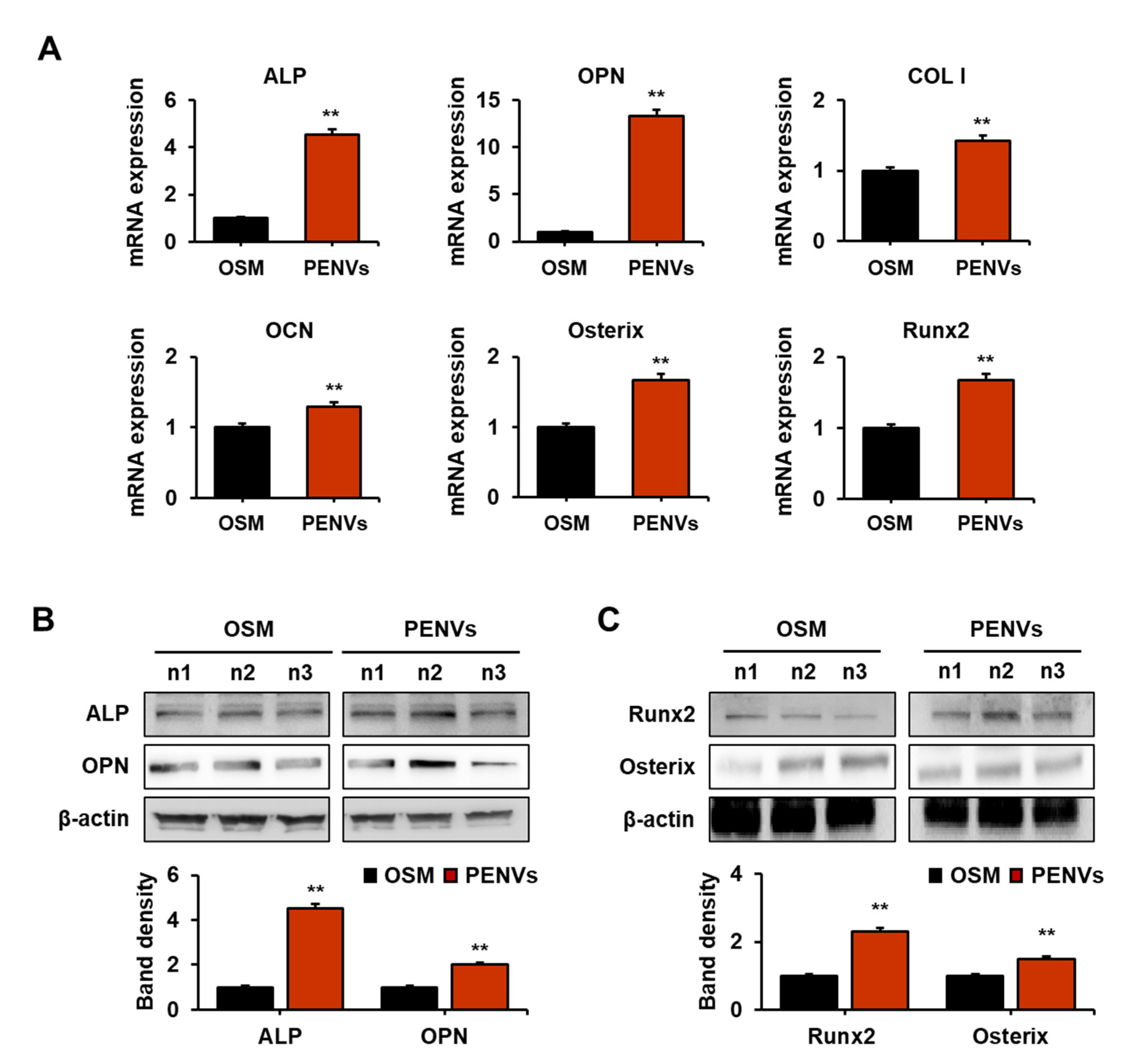 Nutrients 15 02107 g003 Nutrients 15 02107 g003
