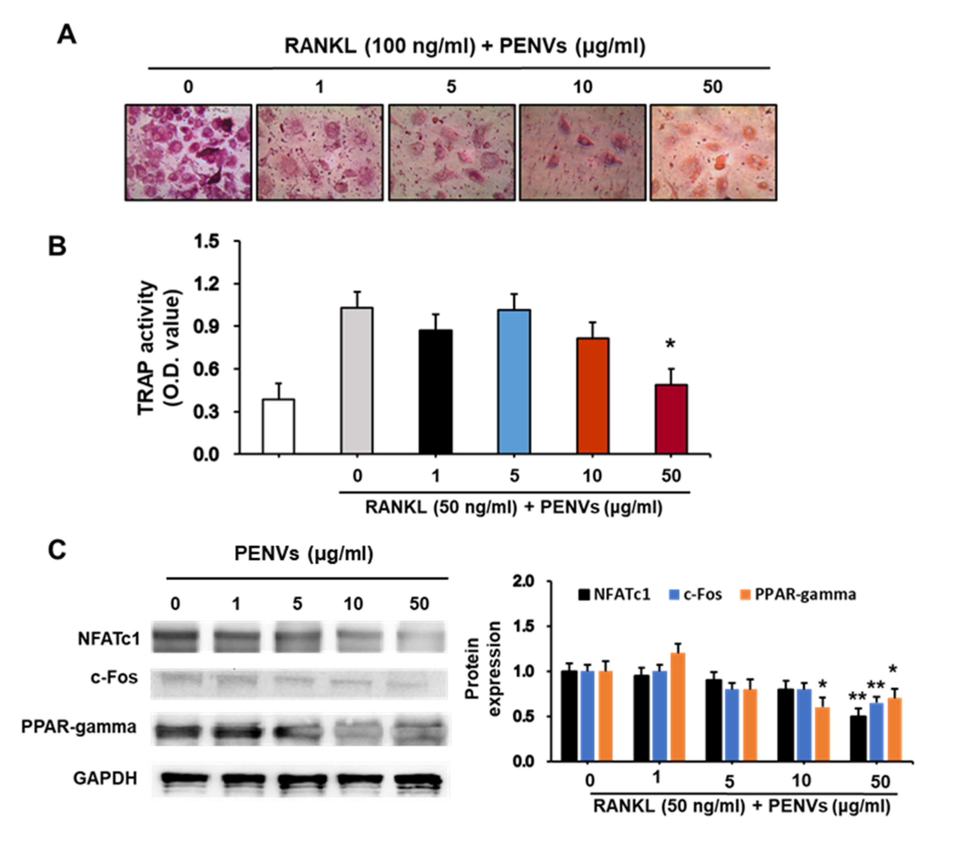 Nutrients 15 02107 g006 Nutrients 15 02107 g006